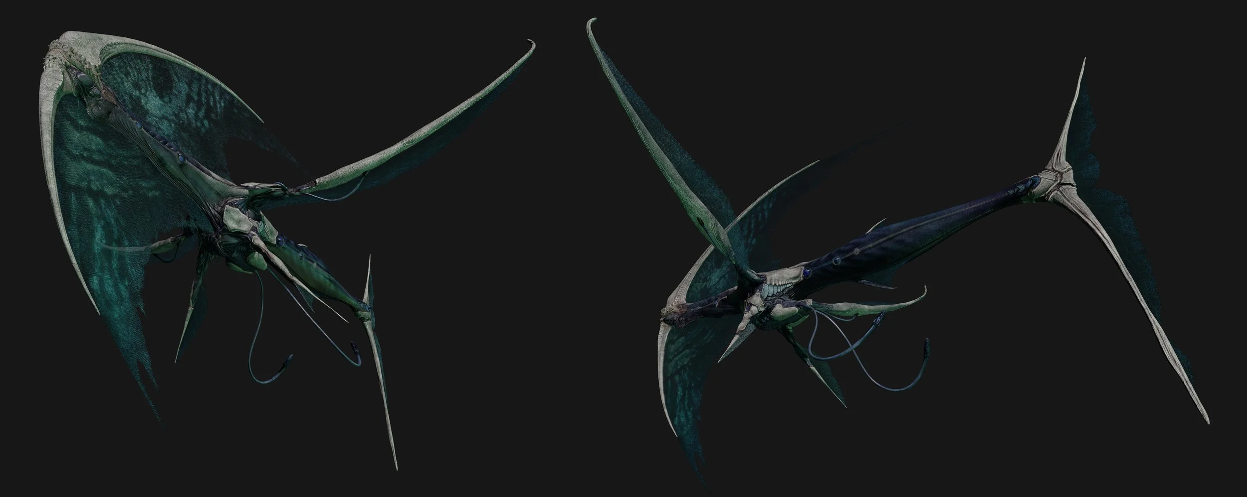 bodySheet03_001 copy.jpg