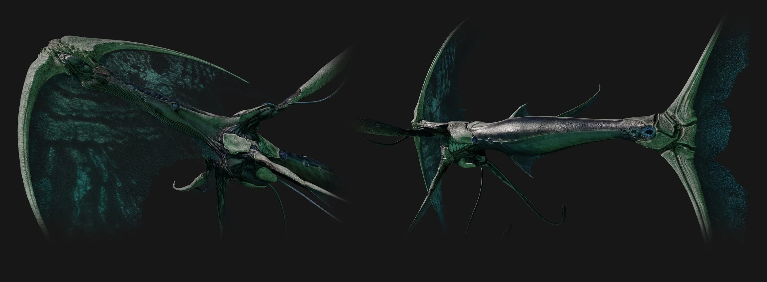 bodySheet01_001 copy.jpg