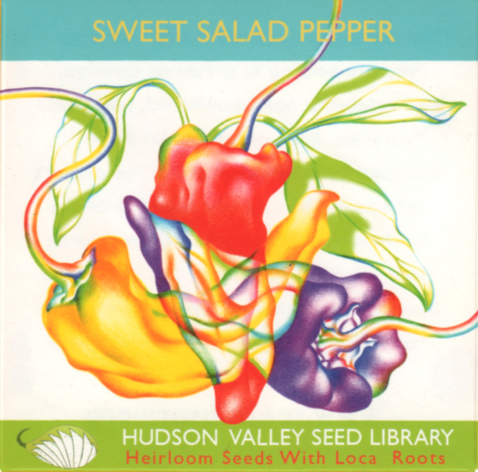 Sweet Salad Pepper.jpg