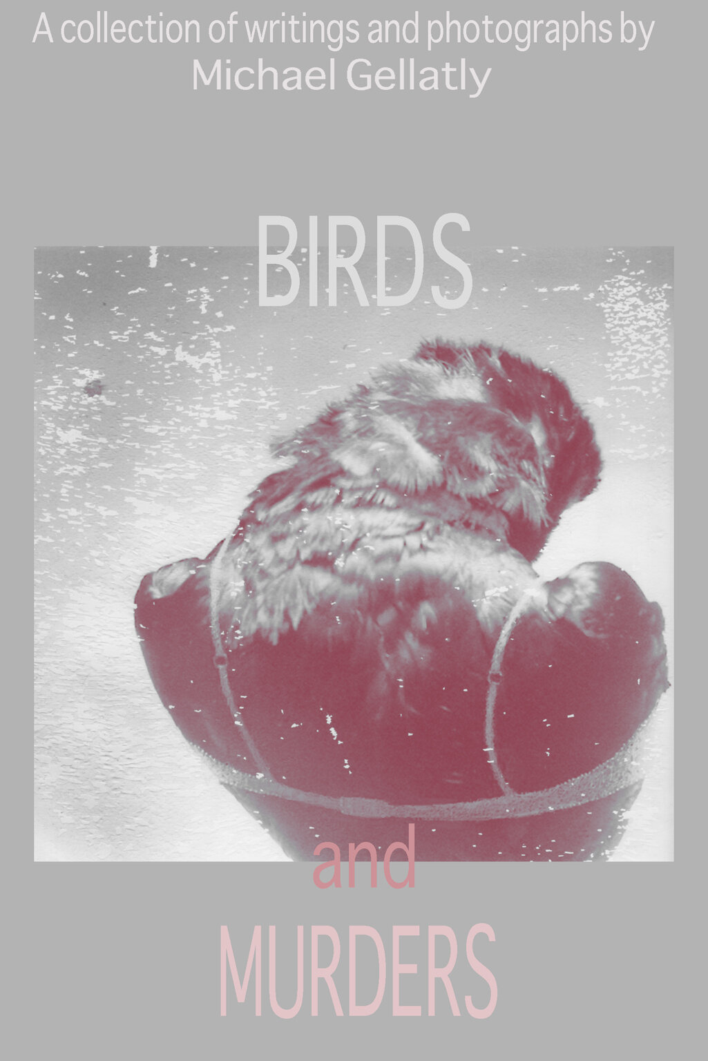 Birds and Murders 2.jpg