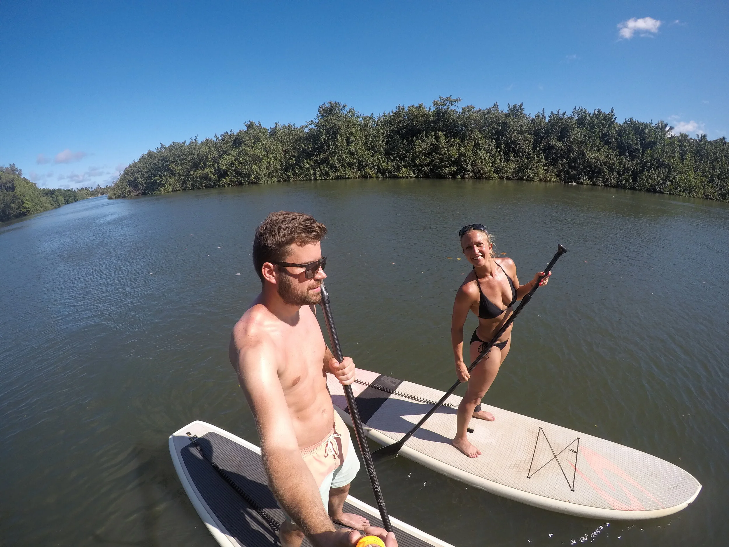 Some Things I'm Looking Forward to this Summer...