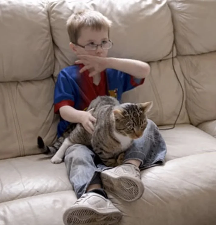 Hero Cat Stories - How These Felines Saved the Day!