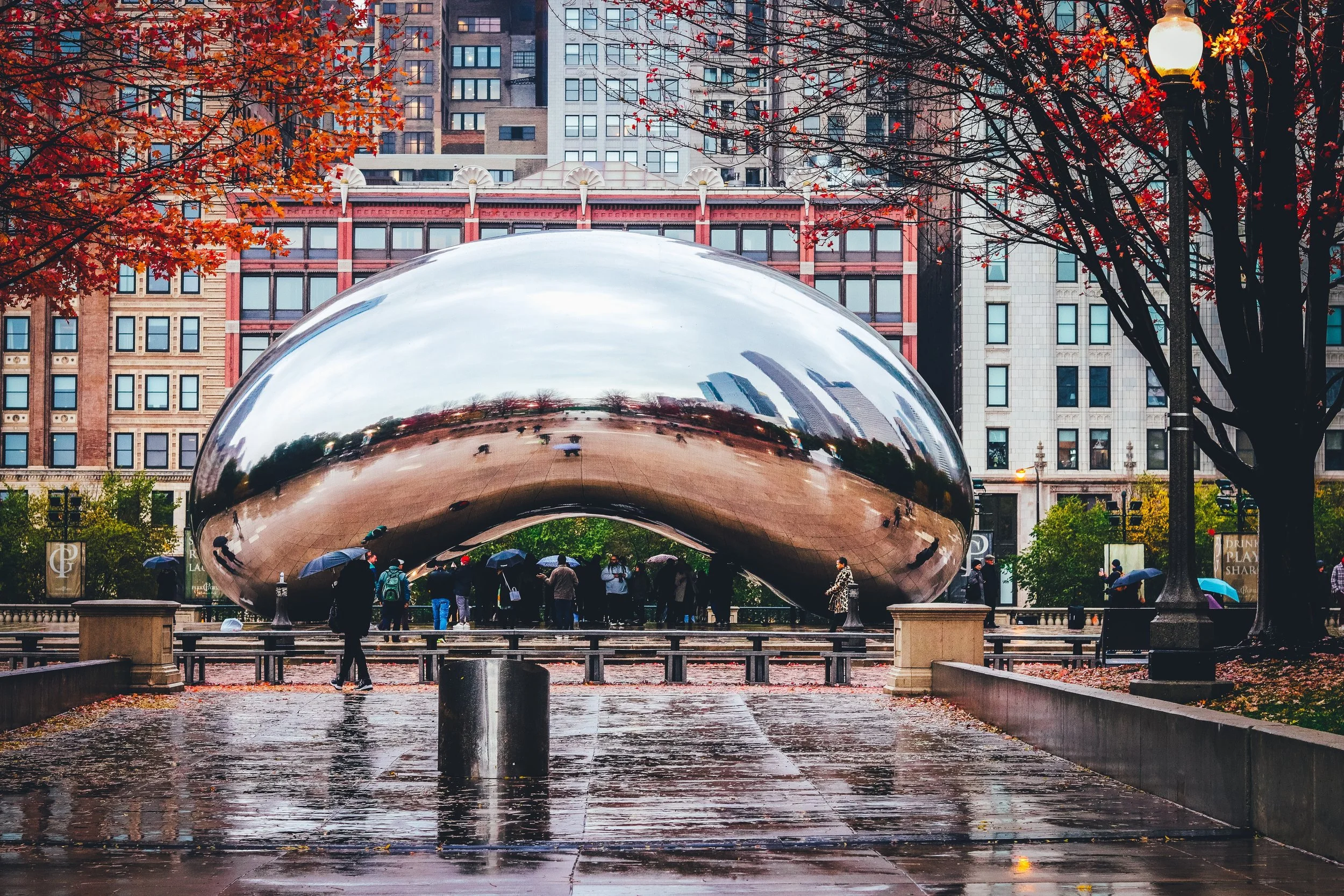 Learning Something New in Chicago