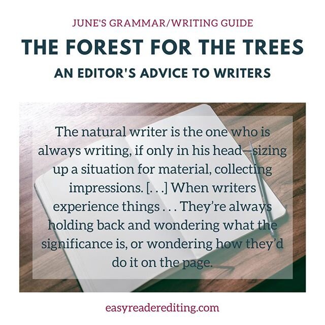 This week's quote comes from page 36, &quot;The Natural,&quot; as Lerner progresses through the types of writers: the Ambivalent Writer, the Natural, the Wicked Child, the Self-promoter, and the Neurotic.⁣
⁣
She goes on to say &quot;. . . every perso