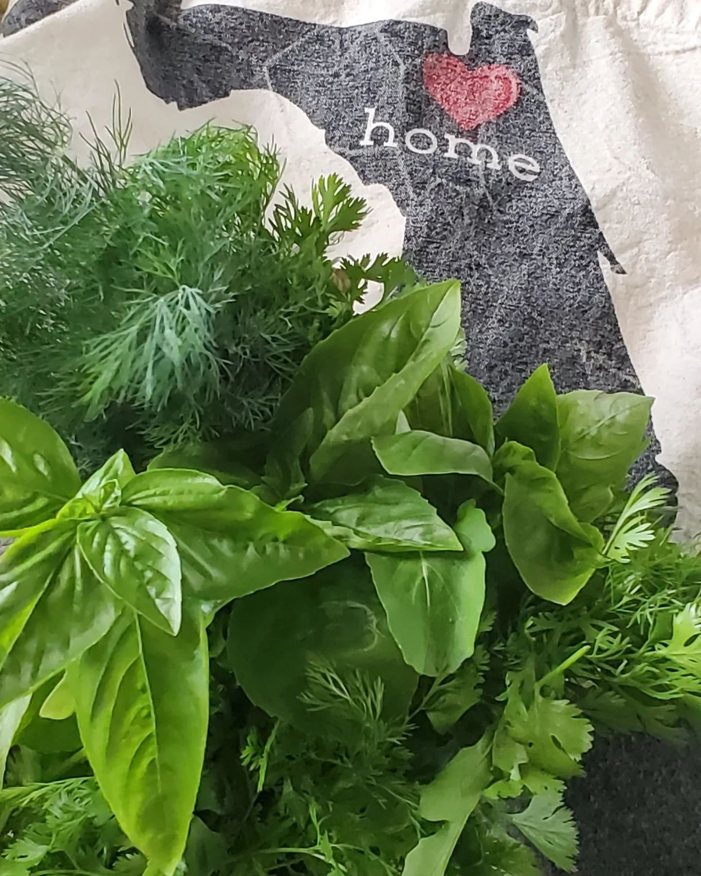 Some people get flowers, my friends give me bouquets of fresh herbs 😍

Nothing makes a meal better than loved on herbs from @boldcitylife! A walk through her garden is an instant mood lift and my grandbabies love seeing her chickens and ducks ❤️