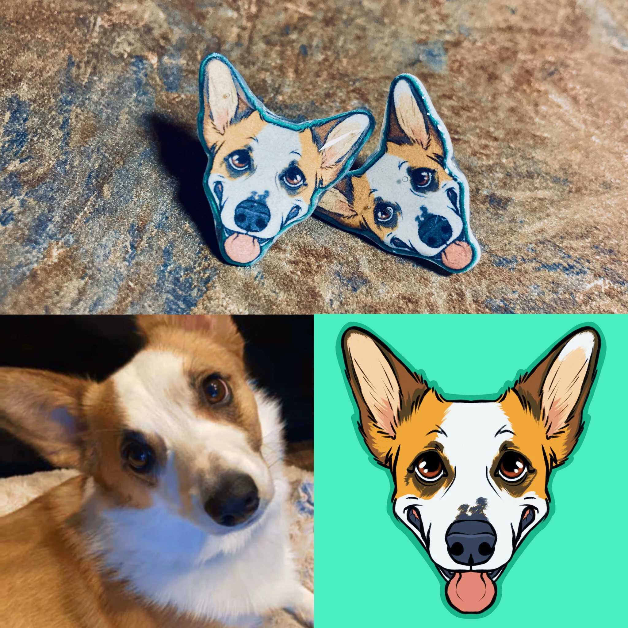 mysteryCorg_example.JPG