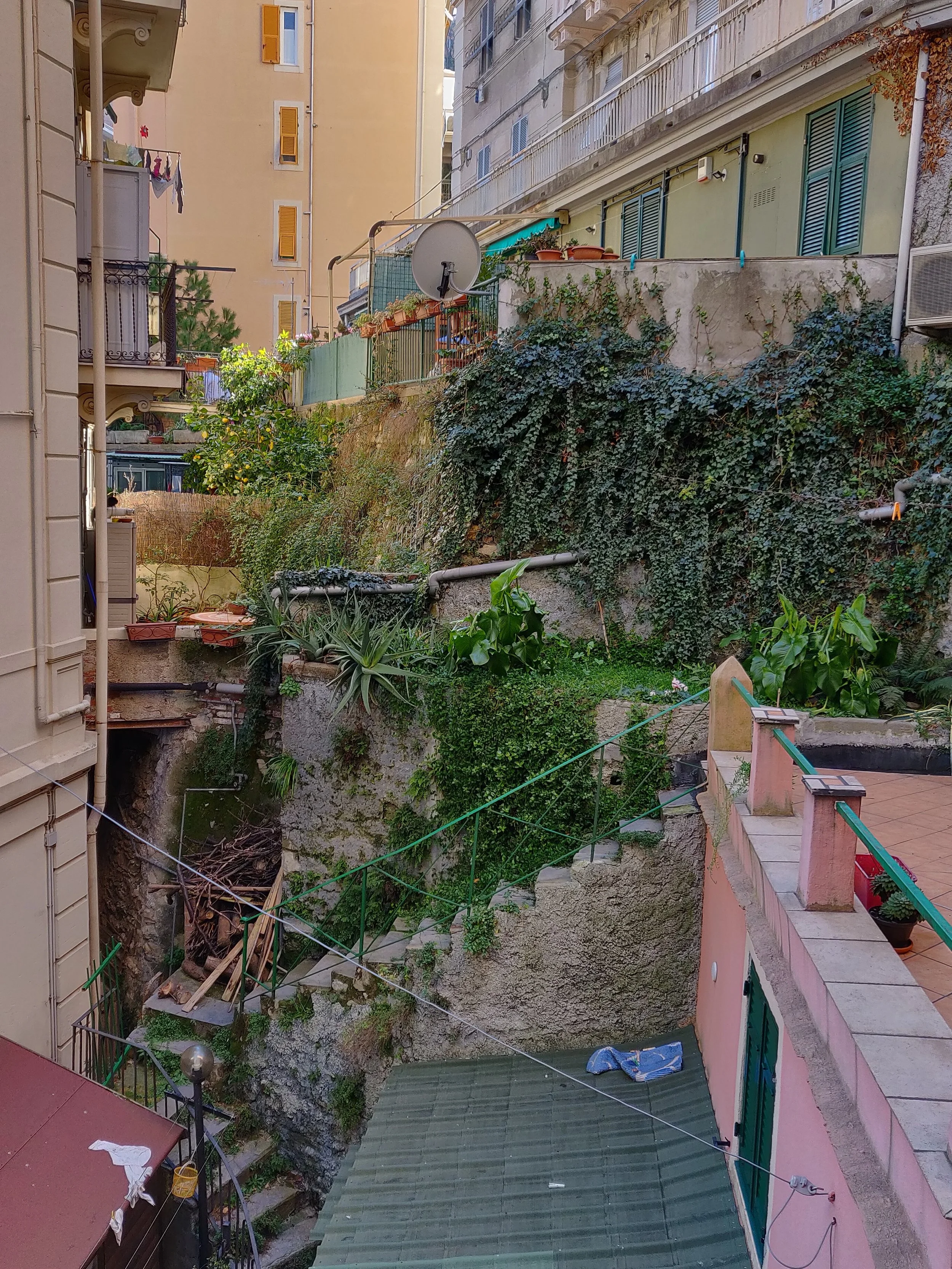 IMG_20190204_141409 (1).jpg