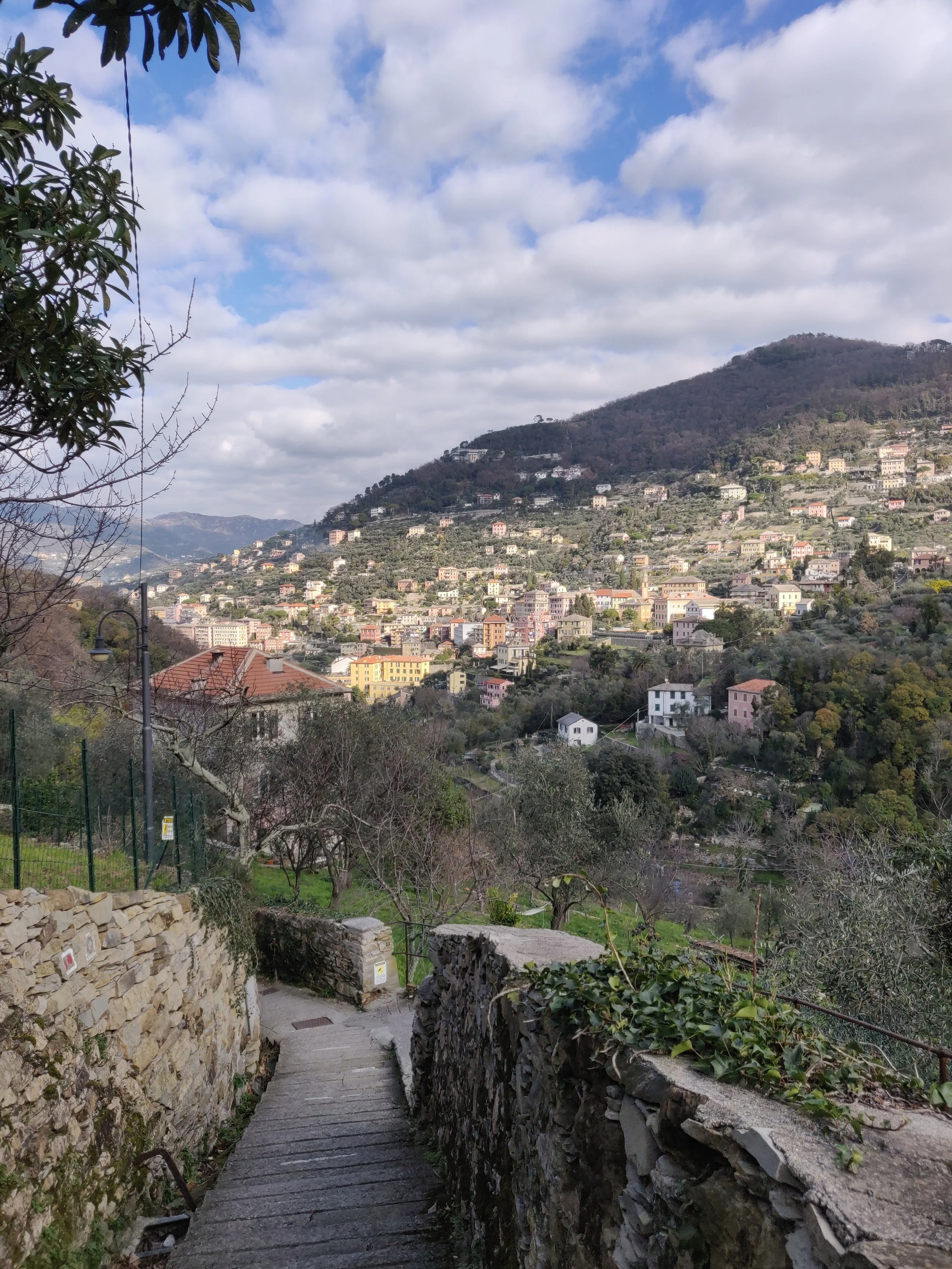 IMG_20190219_103846.jpg