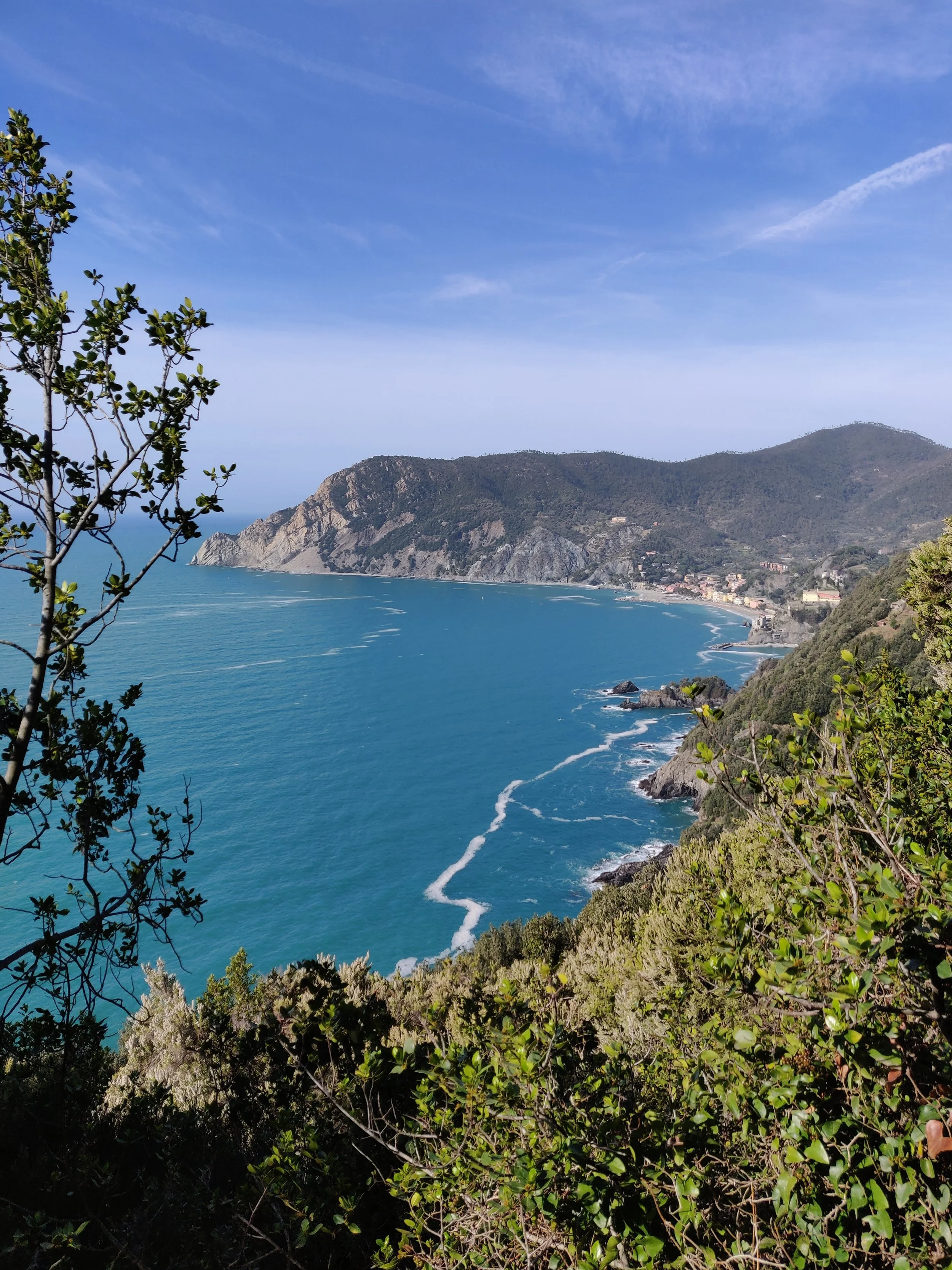 IMG_20190306_102444 (1).jpg