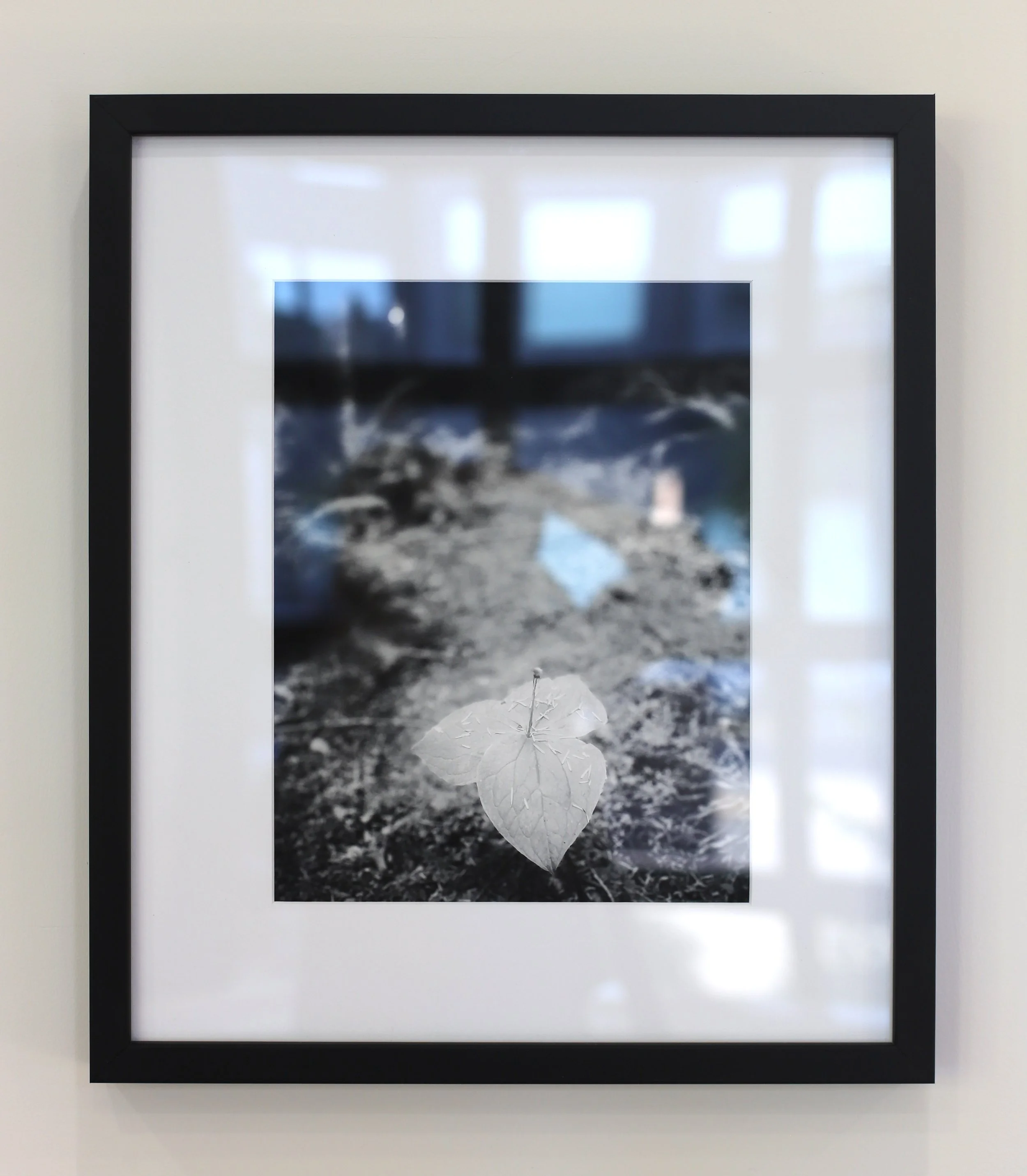 Wayfinding - Megan Hatch
