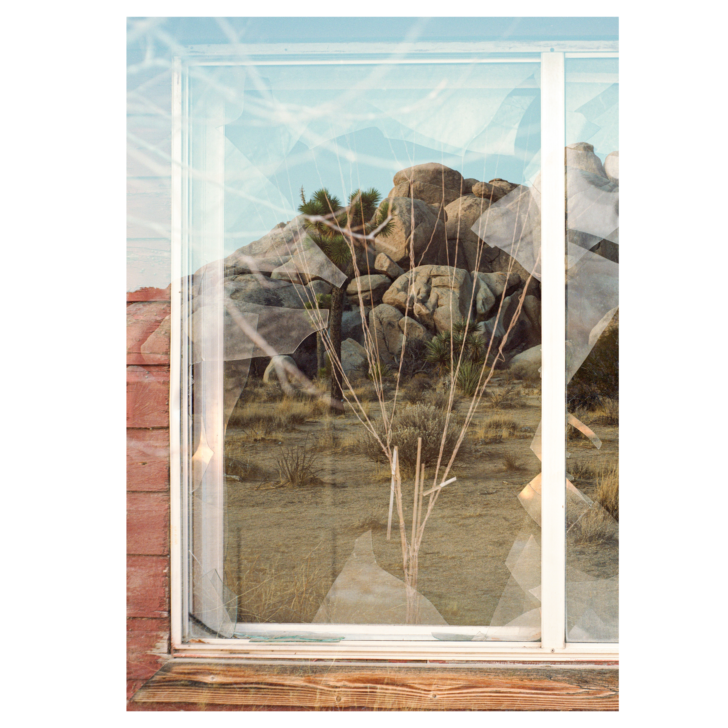 SAP broadsheet preview3.png