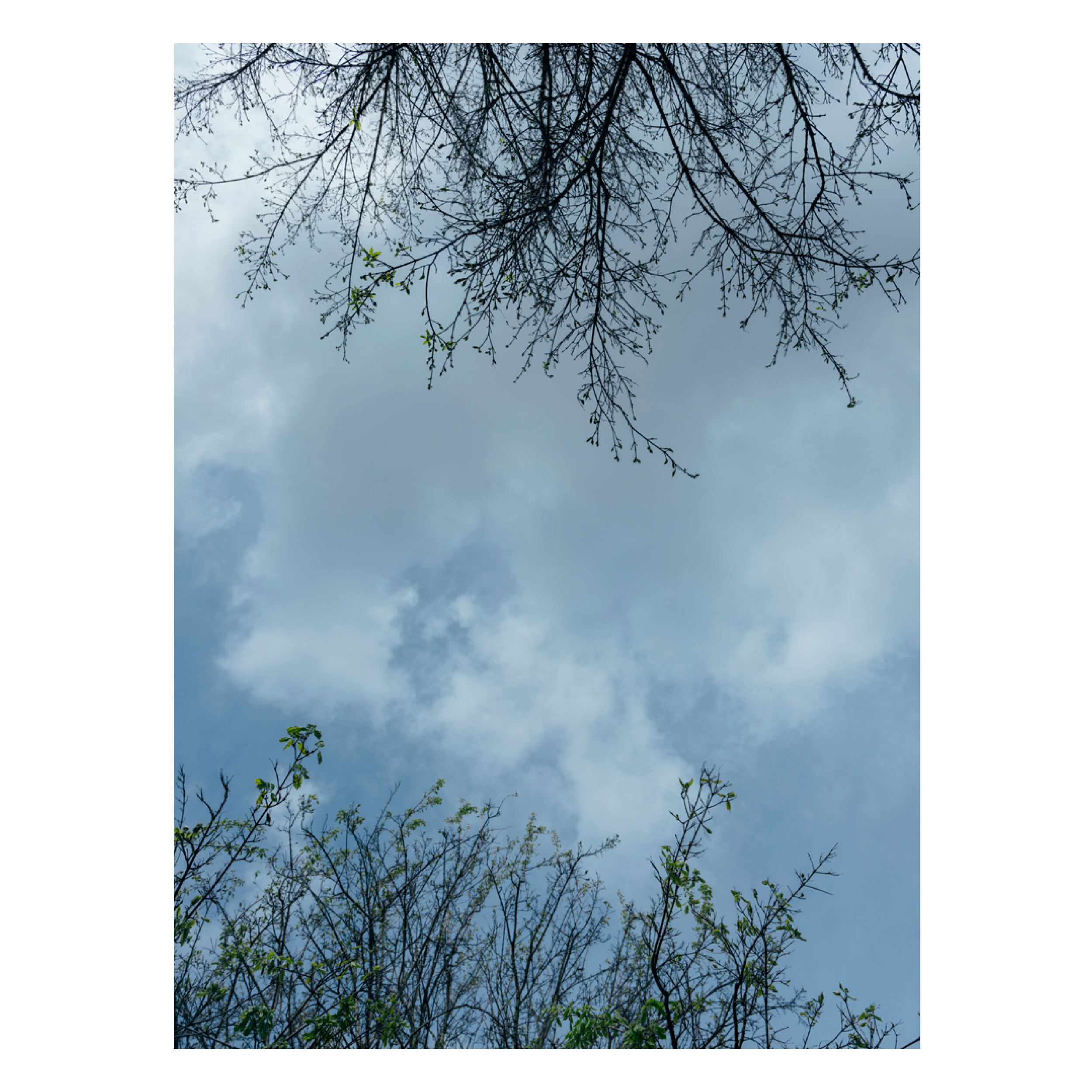 MS tabloid preview4.png