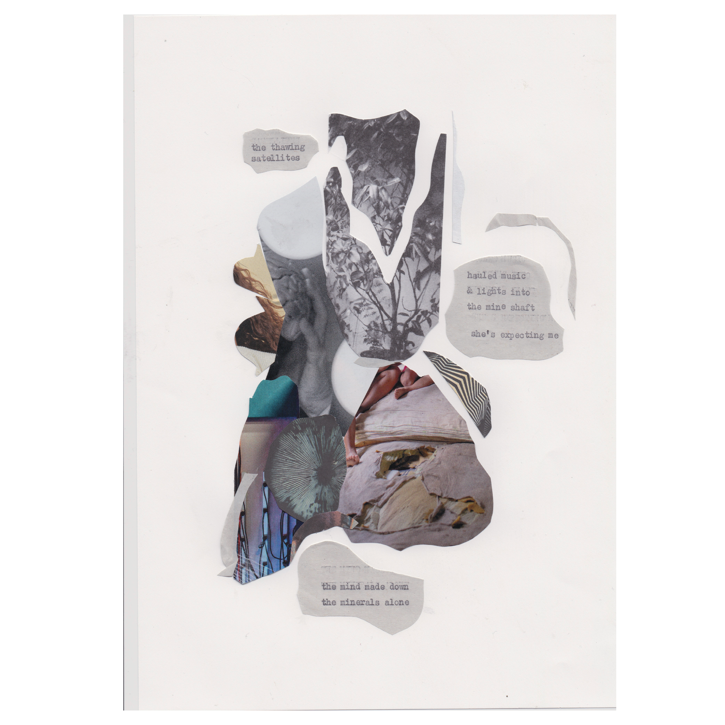 FB broadsheet preview2.png