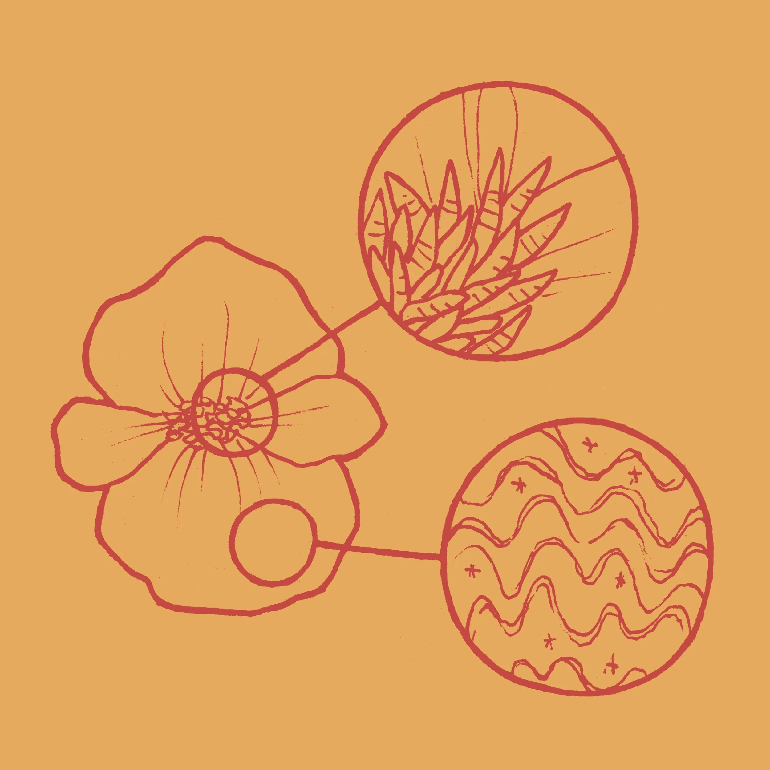 Odd Guide to the Flowers of Portland Book Trailer