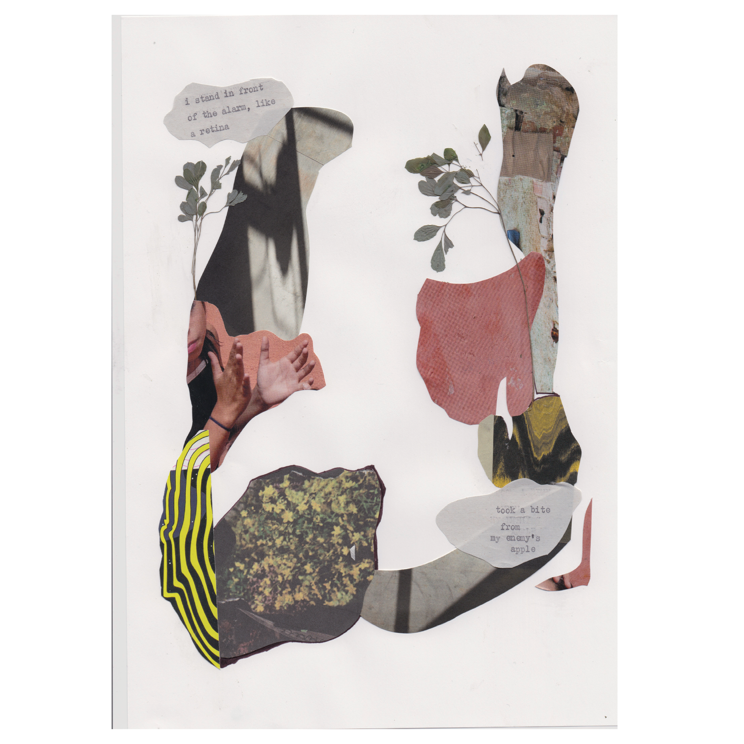 FB broadsheet preview3.png