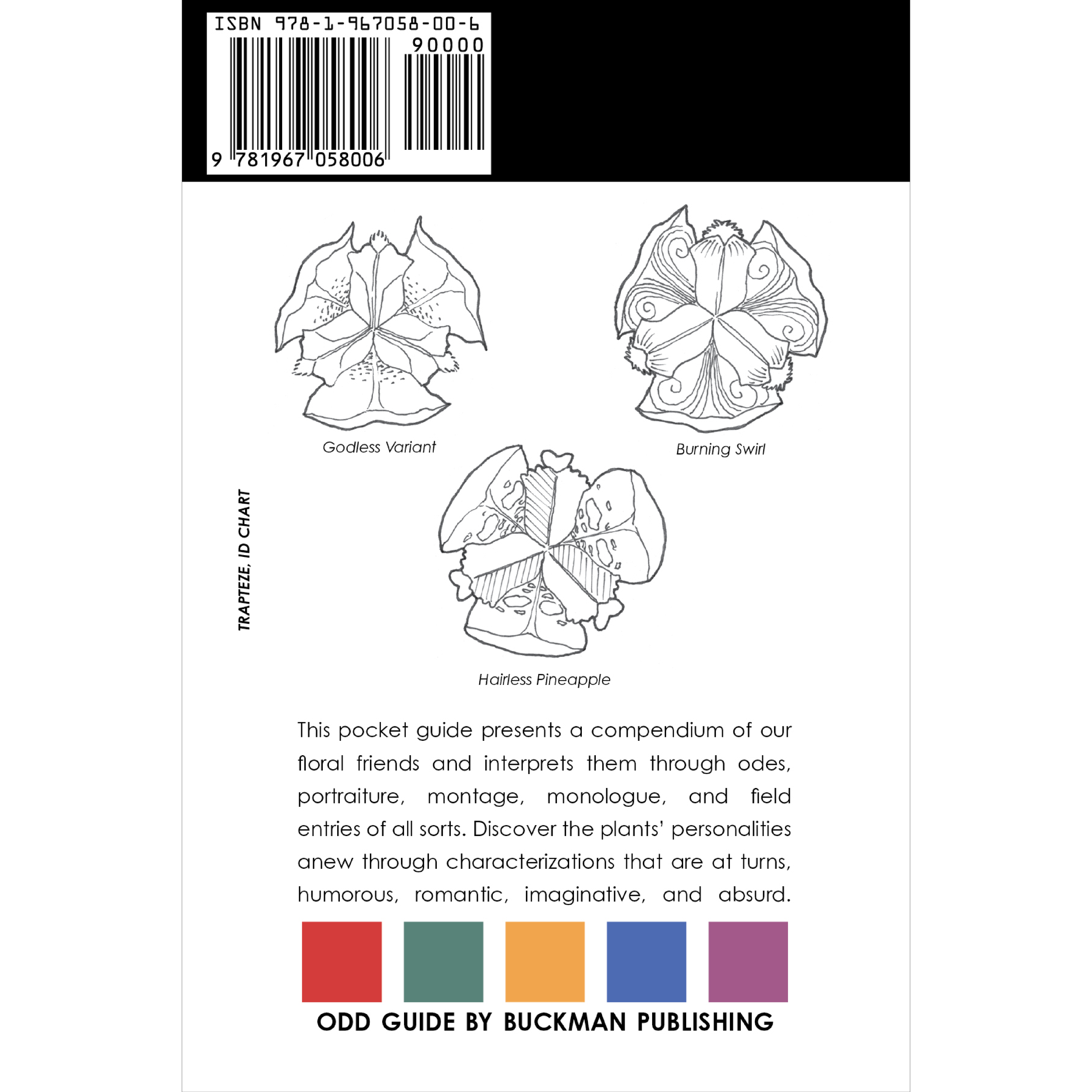 ODD GUIDE_WEBSITE2.png