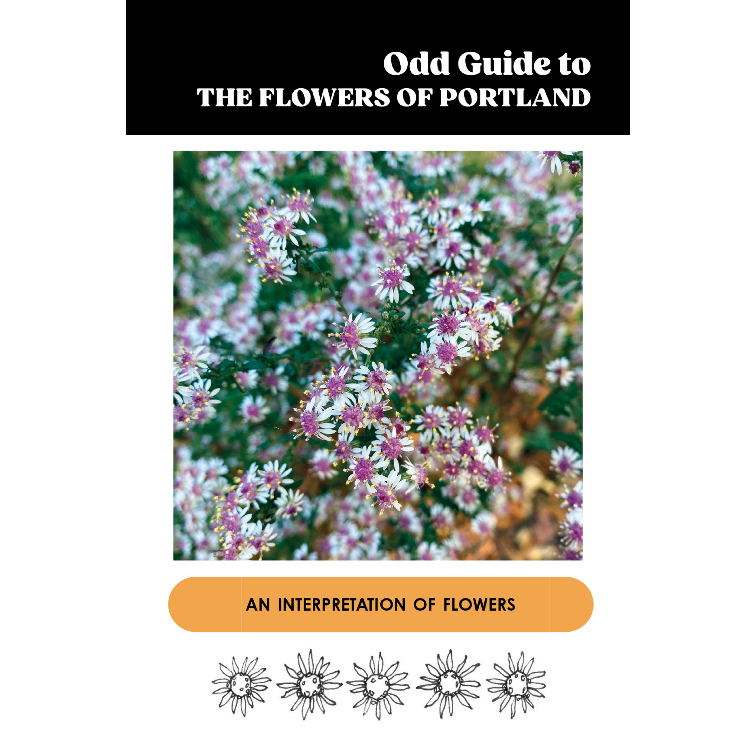 ODD GUIDE_WEBSITE.png