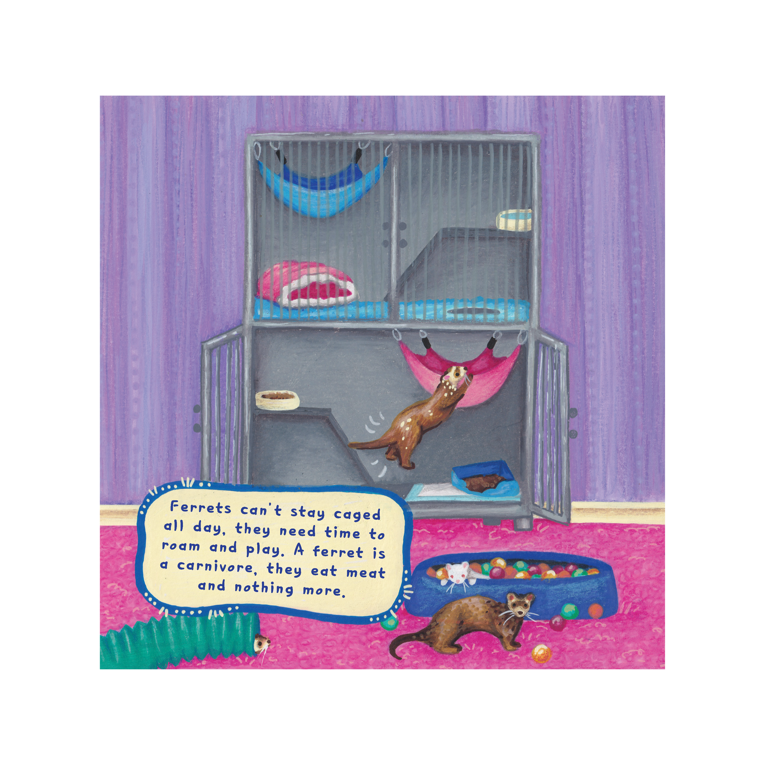 pet4.png