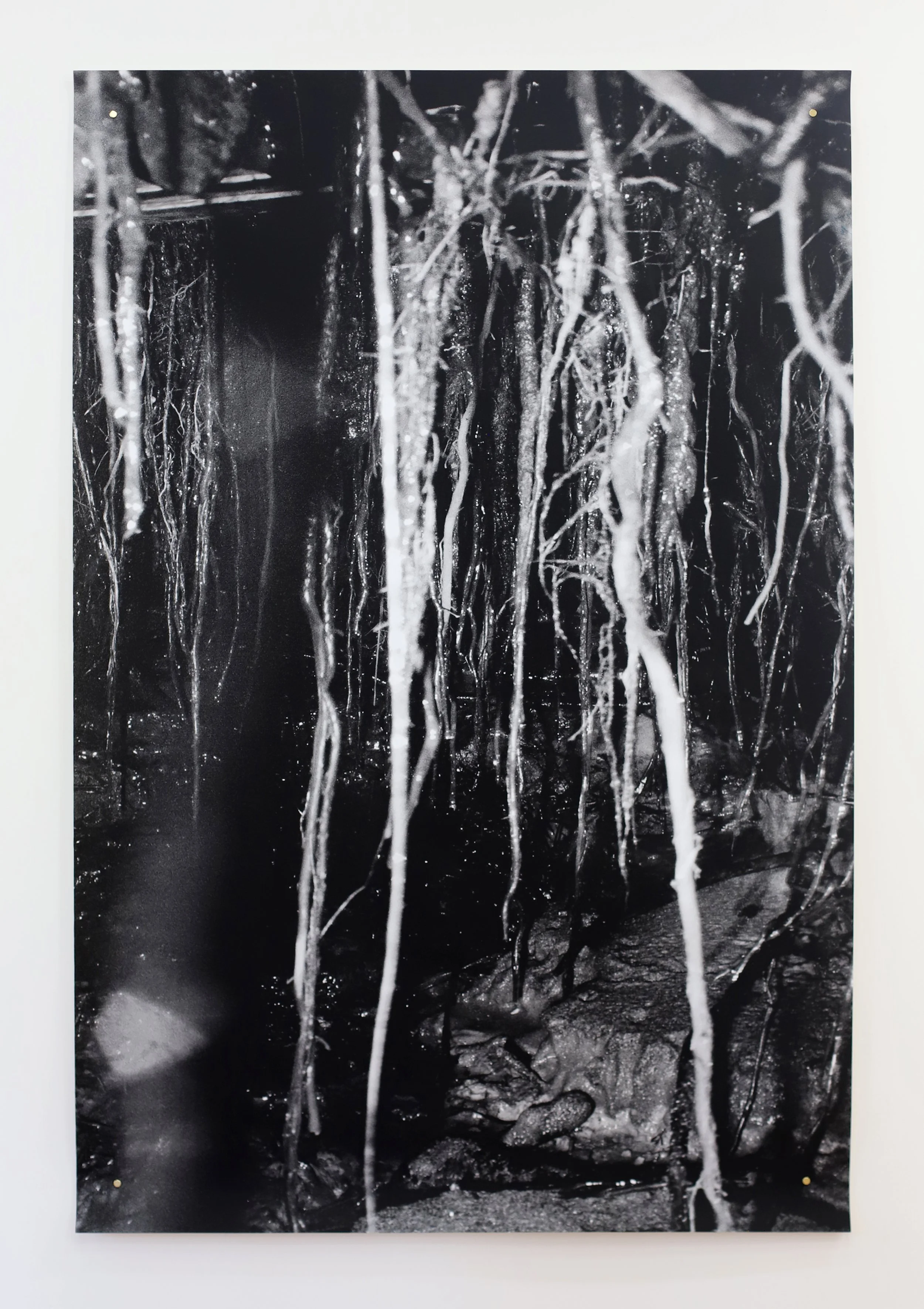 uncovvvered - Ansley Gwin
