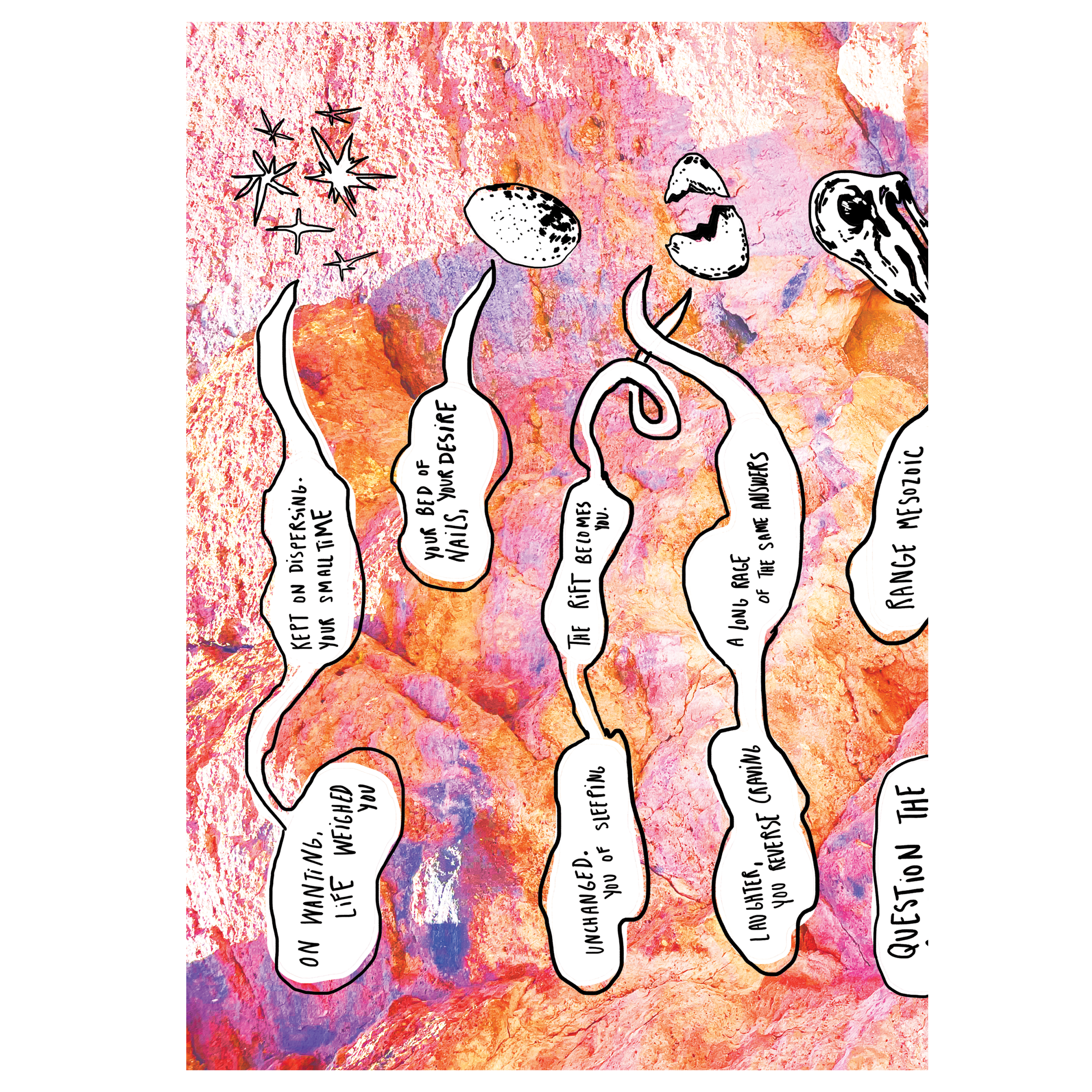 MD broadsheet preview2.png