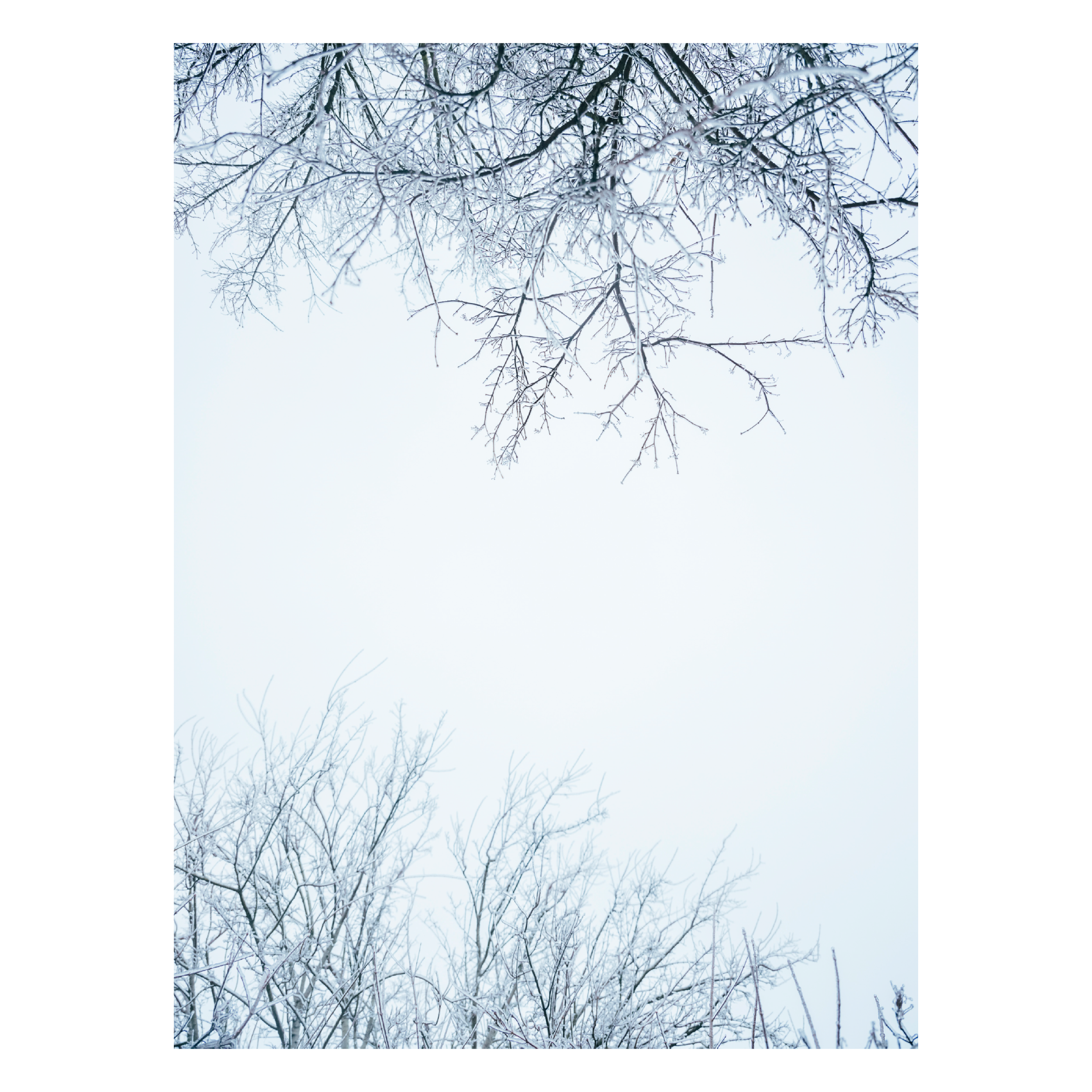 MS tabloid preview3.png