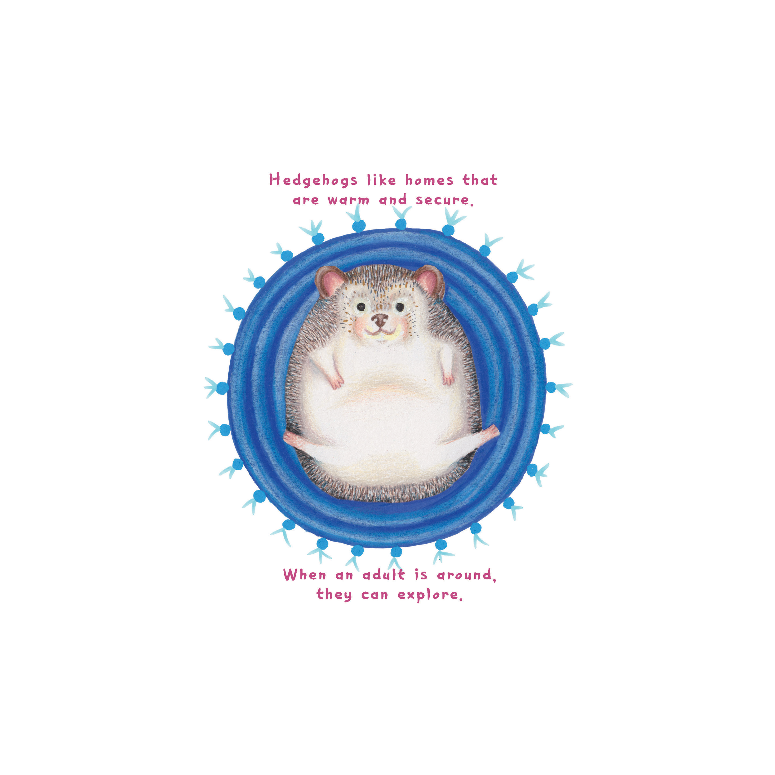 pet5.png