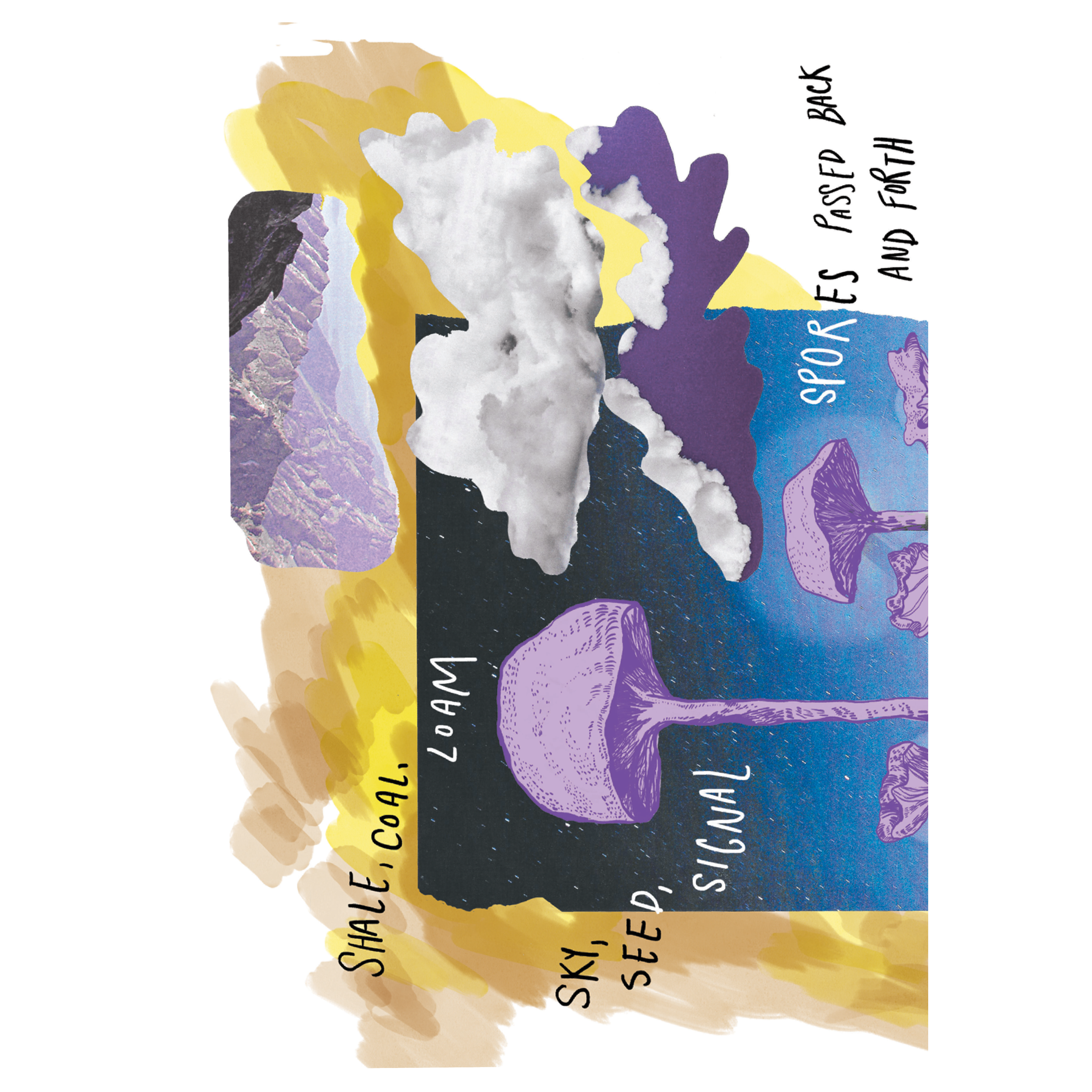 NFE broadsheet preview3.png