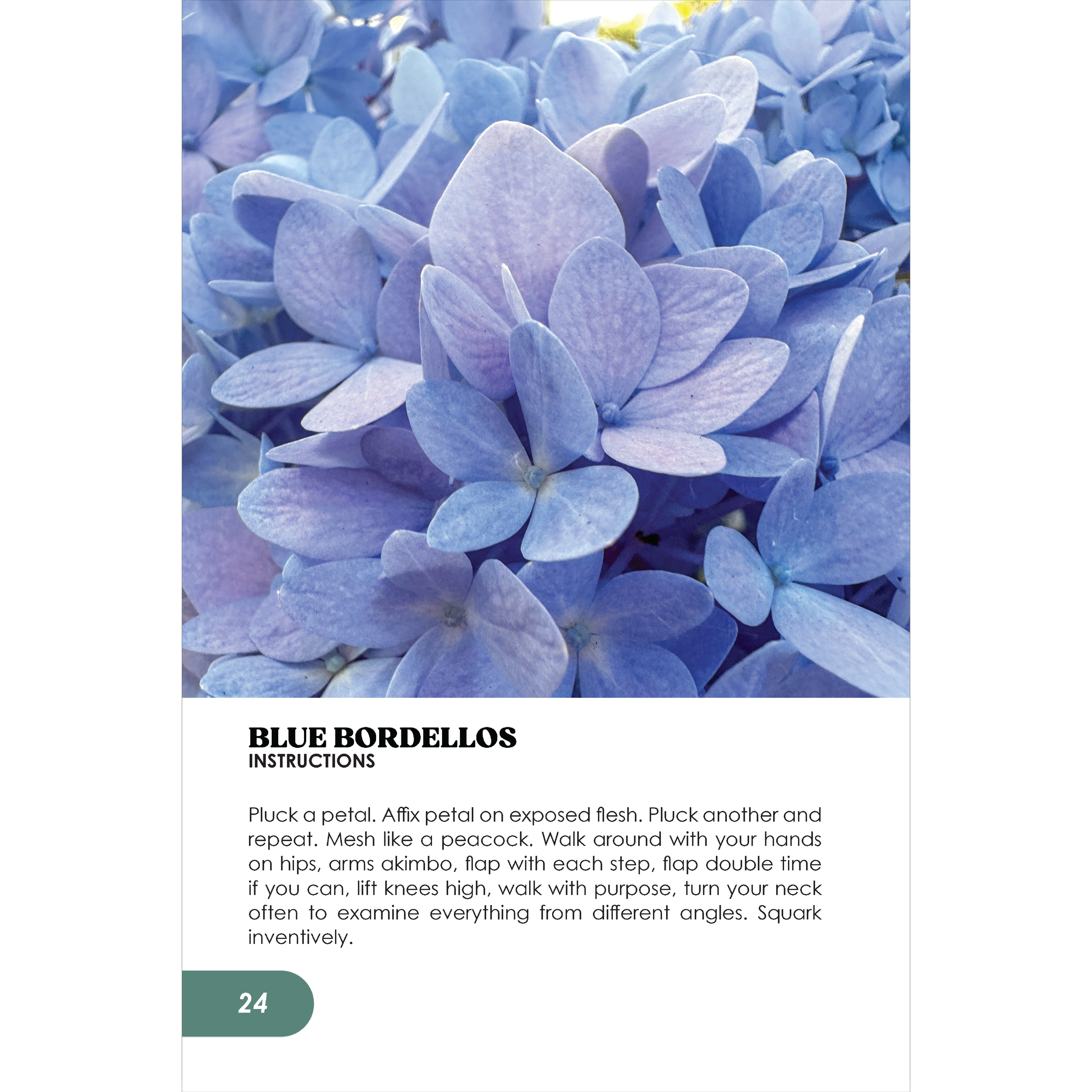 ODD GUIDE_WEBSITE4.png