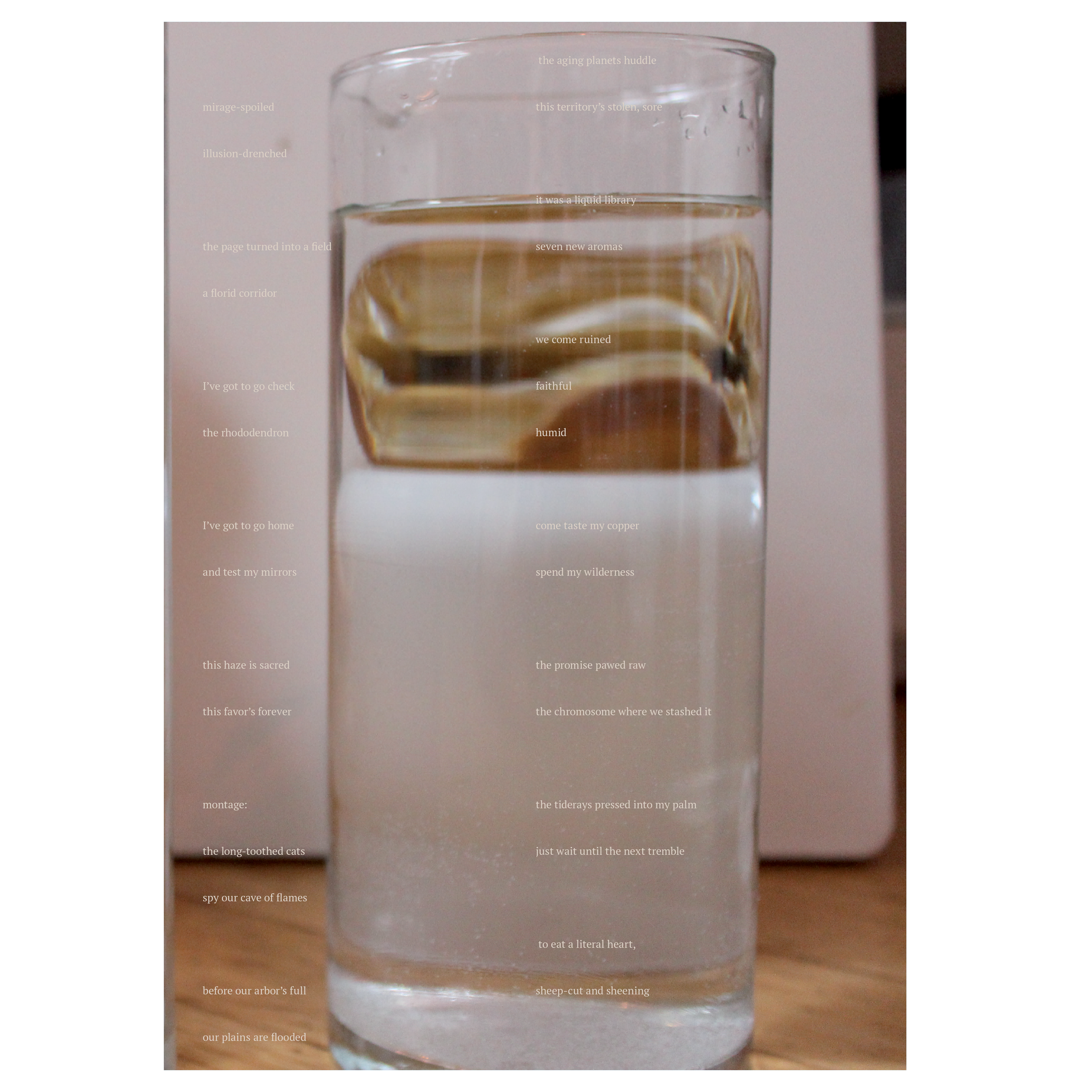 MOC broadsheet preview3.png