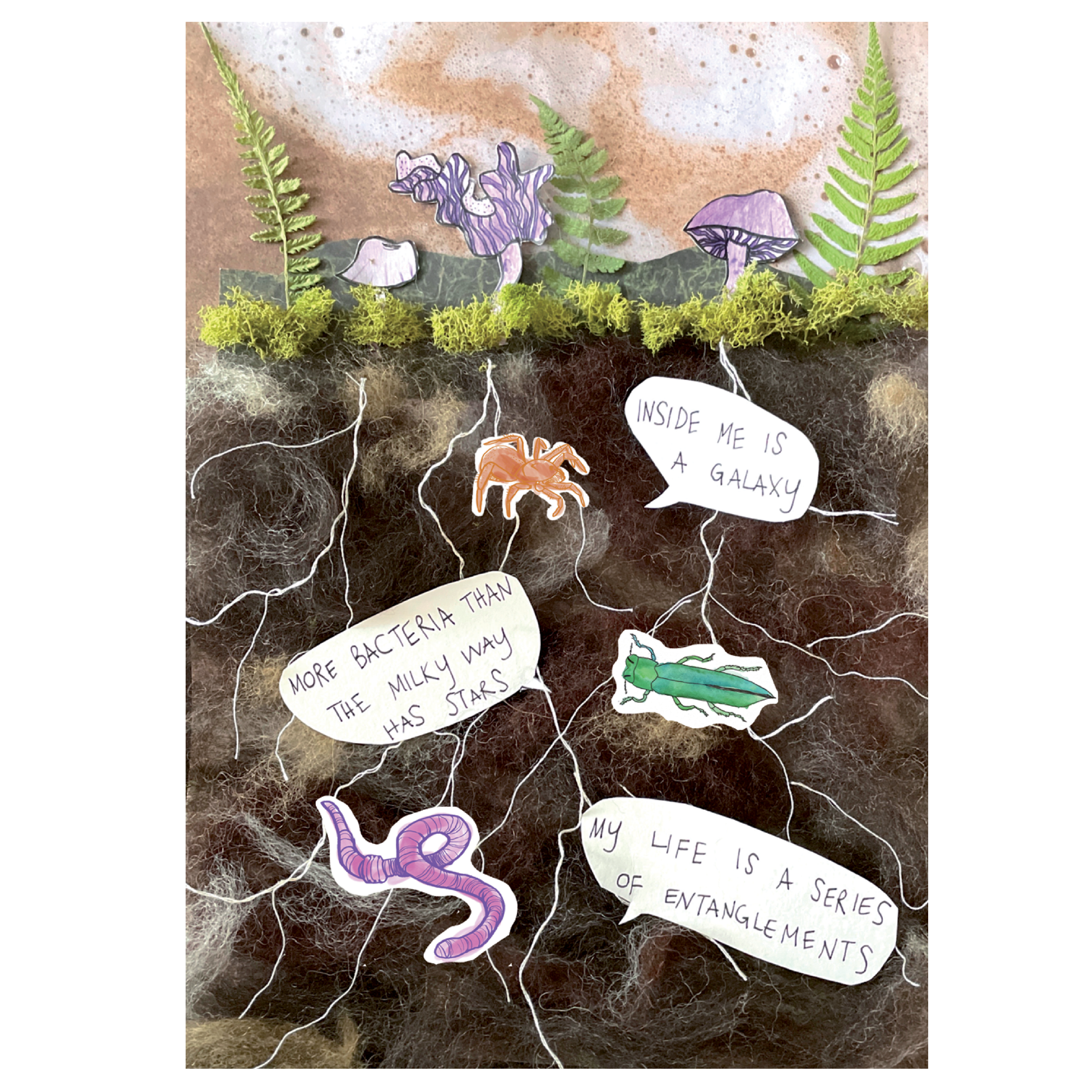 NFE broadsheet preview.png