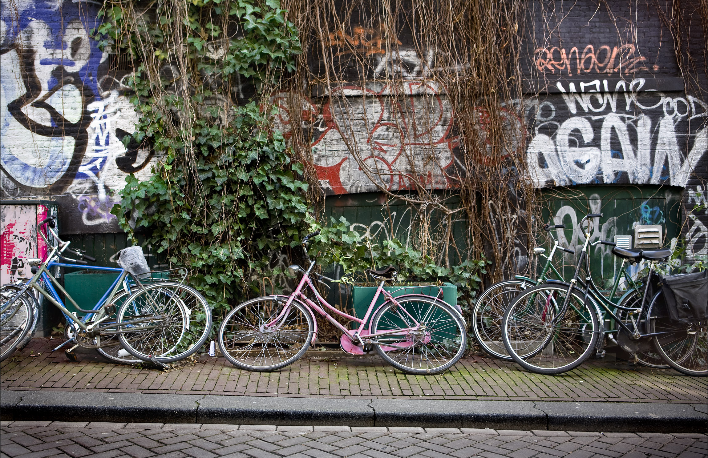  Fred Collins -  Amsterdam Bikes  