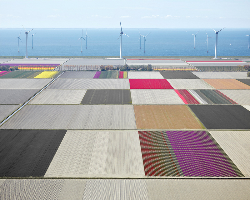   Tulips and Turbines 01, Noordoostpolder, The Netherlands, 2016  