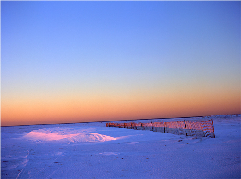 Snow Fence.jpg