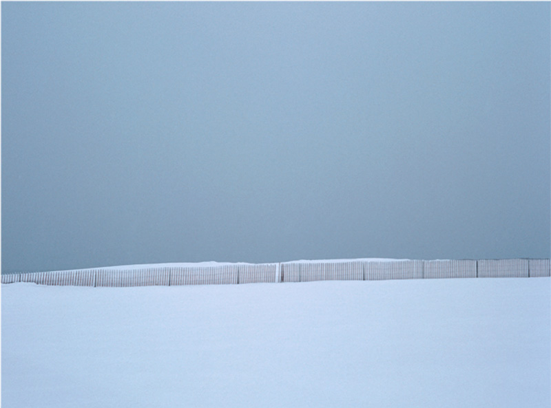 Cyan Snow Fence.jpg