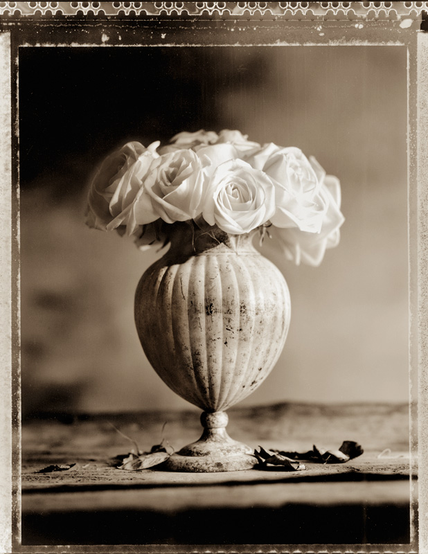 Roses_in_Round_Vase.jpg