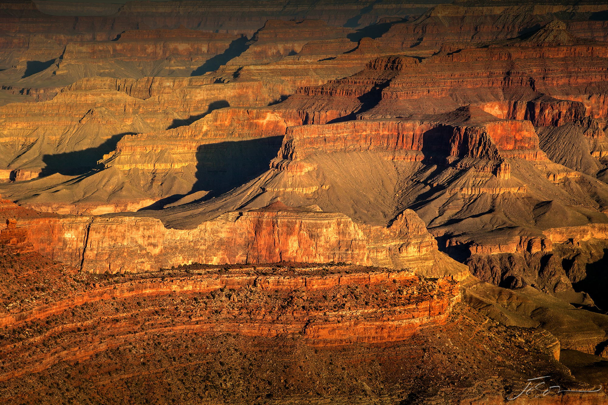 Grand Canyon National Park 9.jpg