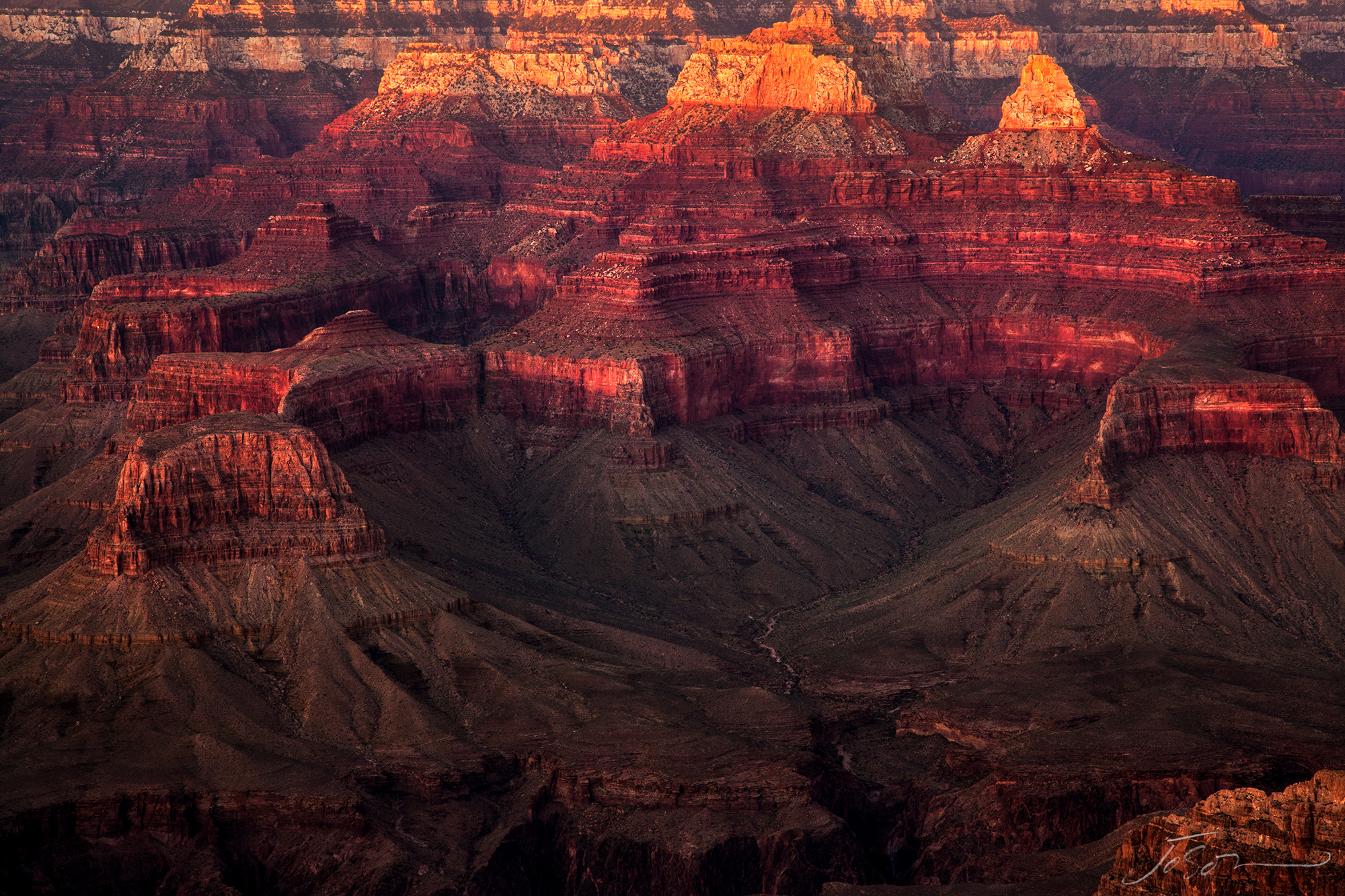 Grand Canyon National Park 7.jpg