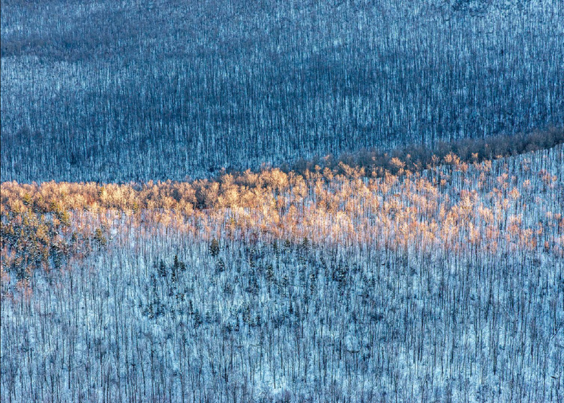 Sunlit Ridge, Adirondack Mtns, NY.jpg