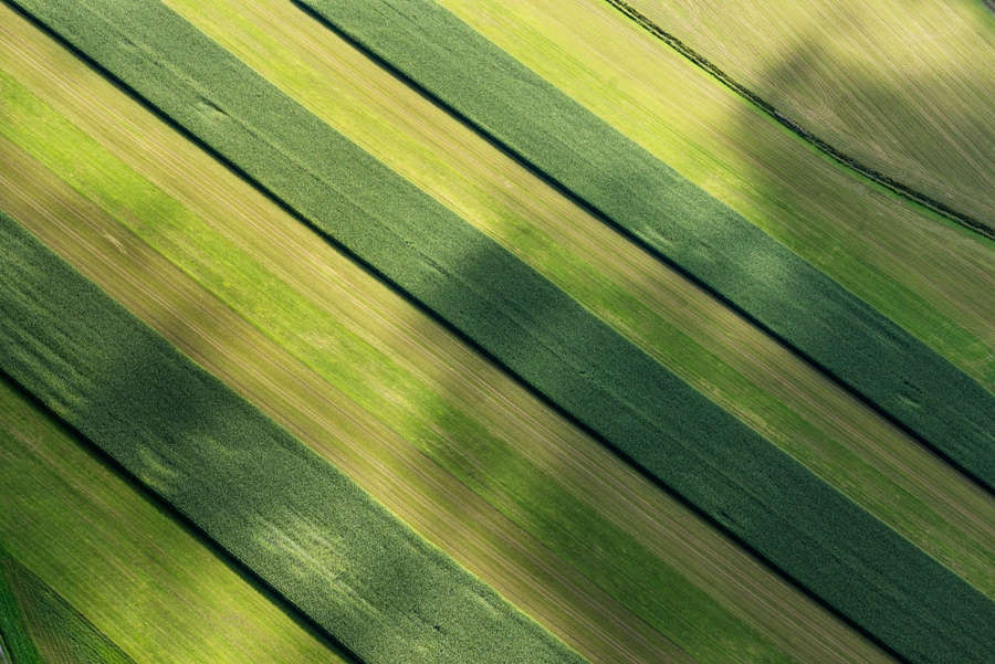 Crop Stripes and Cloud Shadow near Newark, NY  2014.jpg