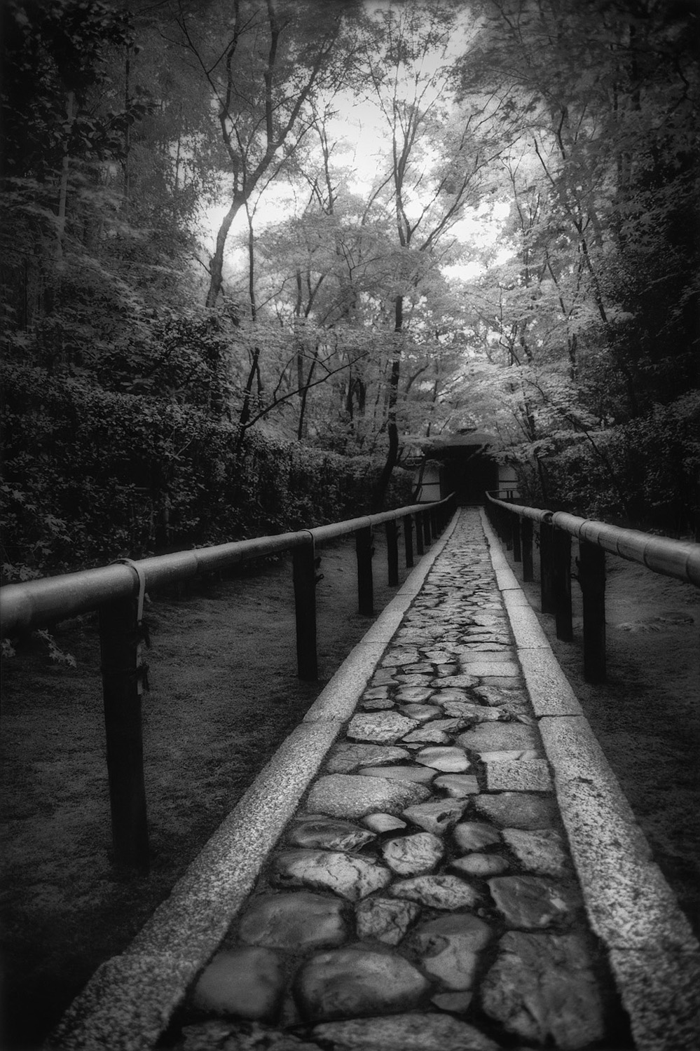 Kyoto Path.jpg