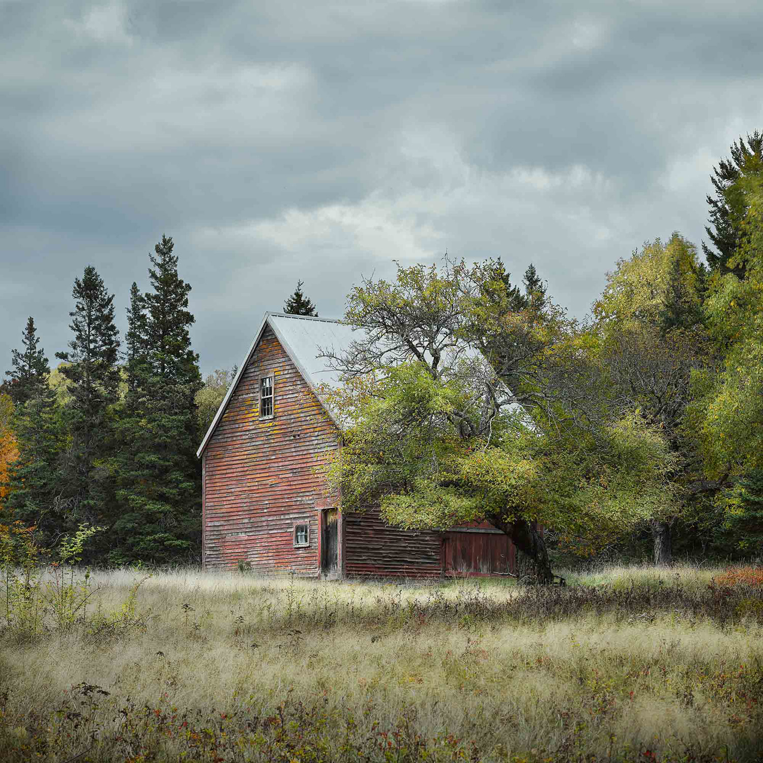 Deer Isle Barn.jpg