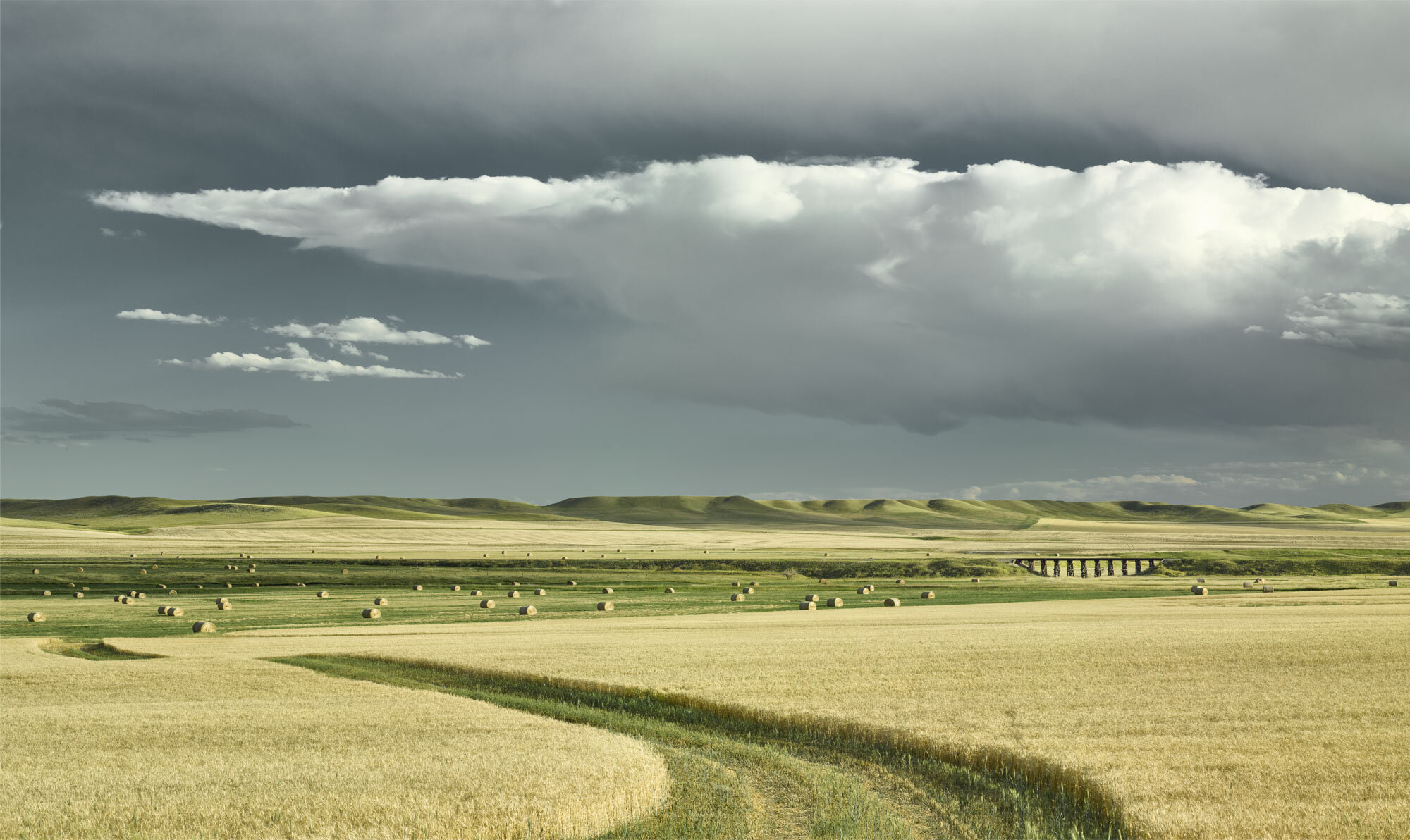 Prairie Landscape 1.jpg