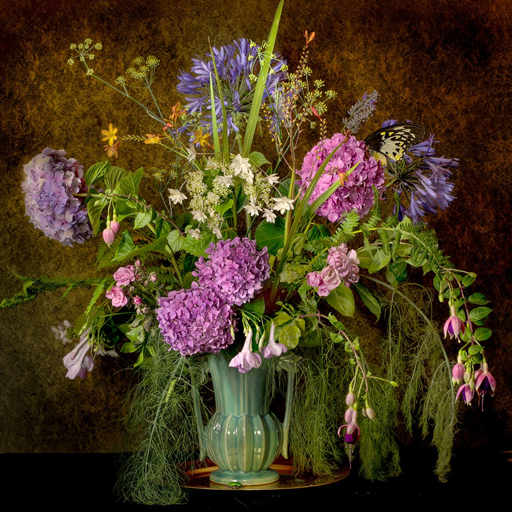 Hydrangeas and Caterpillar.jpg