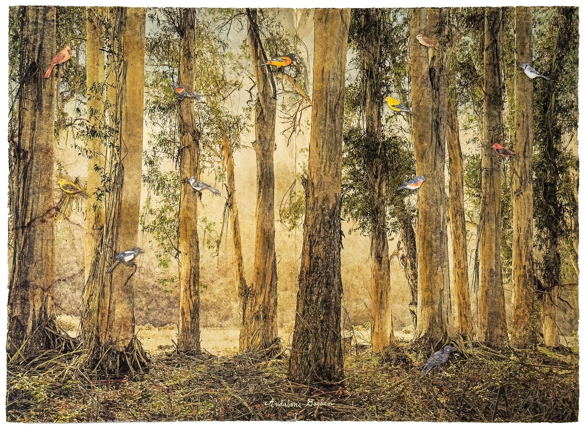 Audubon's Garden.jpg