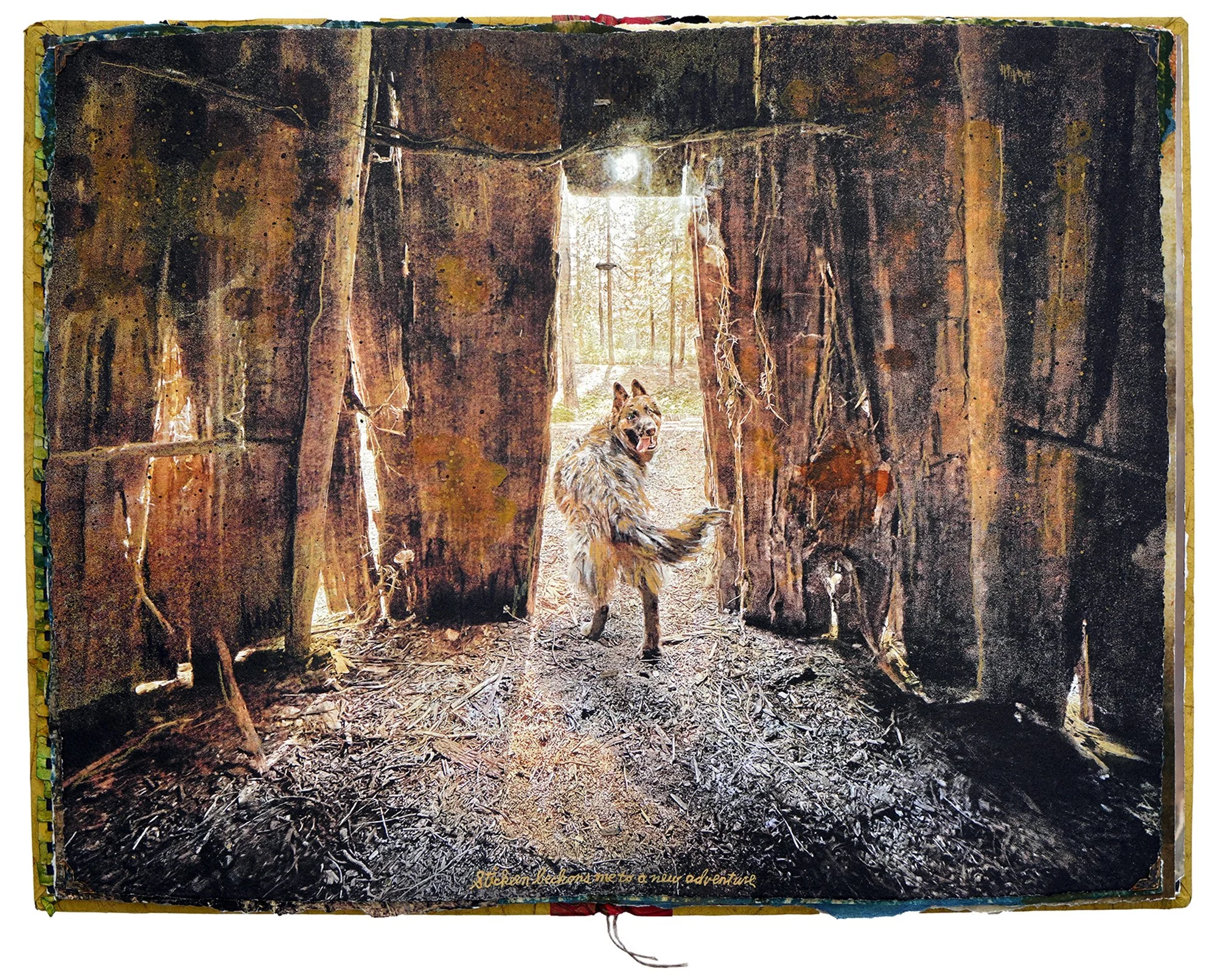 Stickeen Beckons Me to a New Adventure.jpg