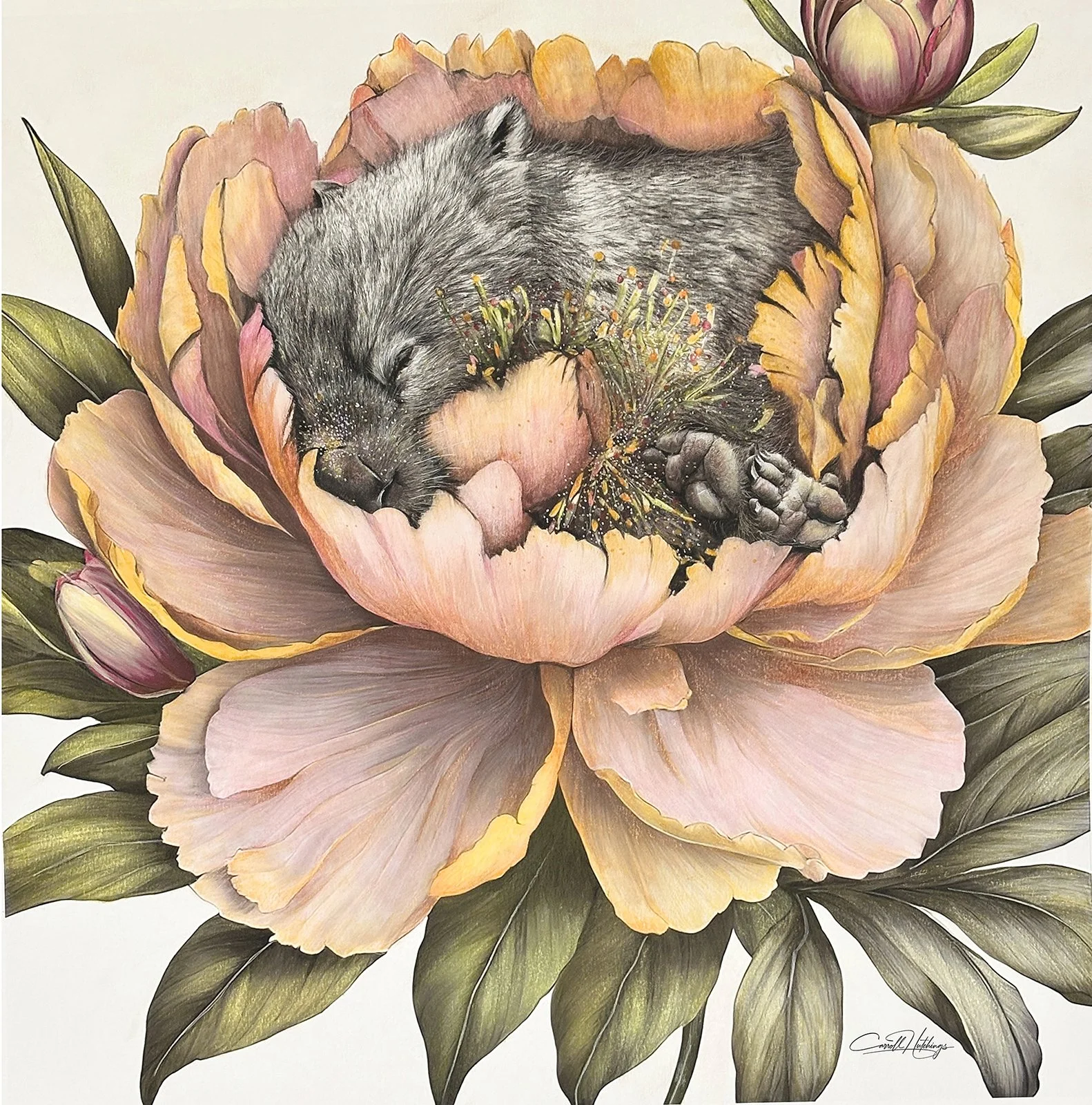 Endangered Inks Wombat's Floral Retreat.jpg