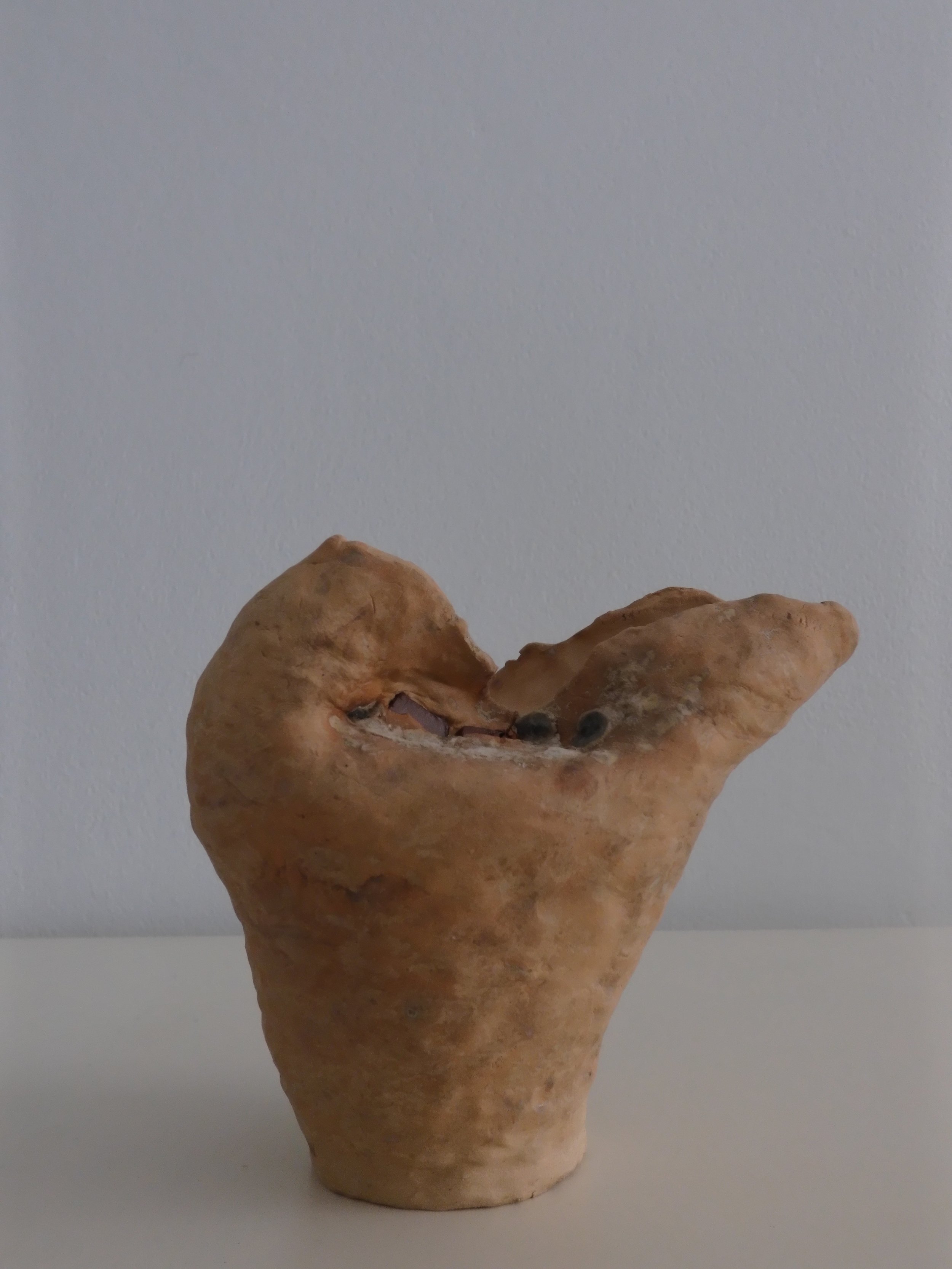 DSCF0012.jpg