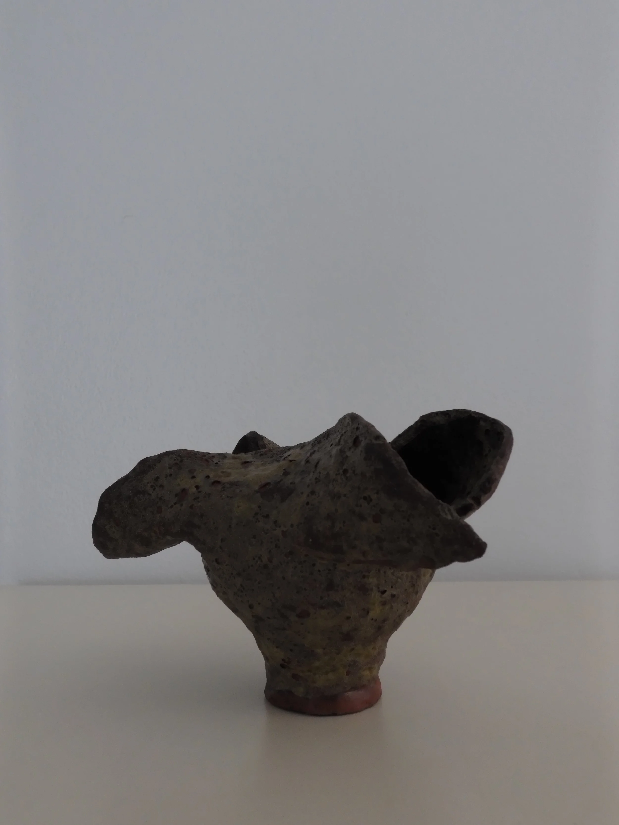 DSCF0134.jpg
