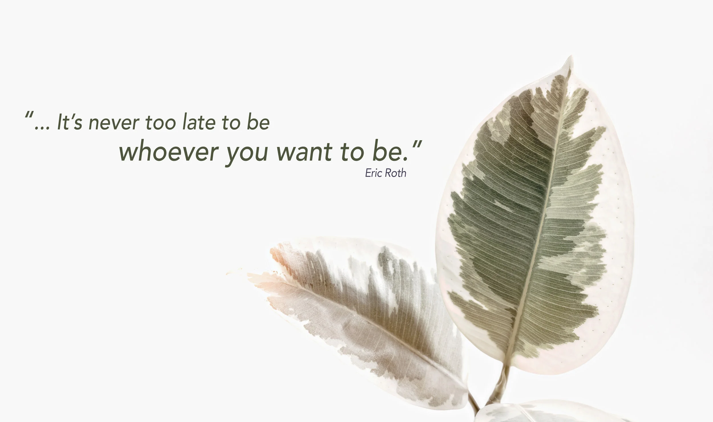 art-background-beautiful-1084510 copy.jpg