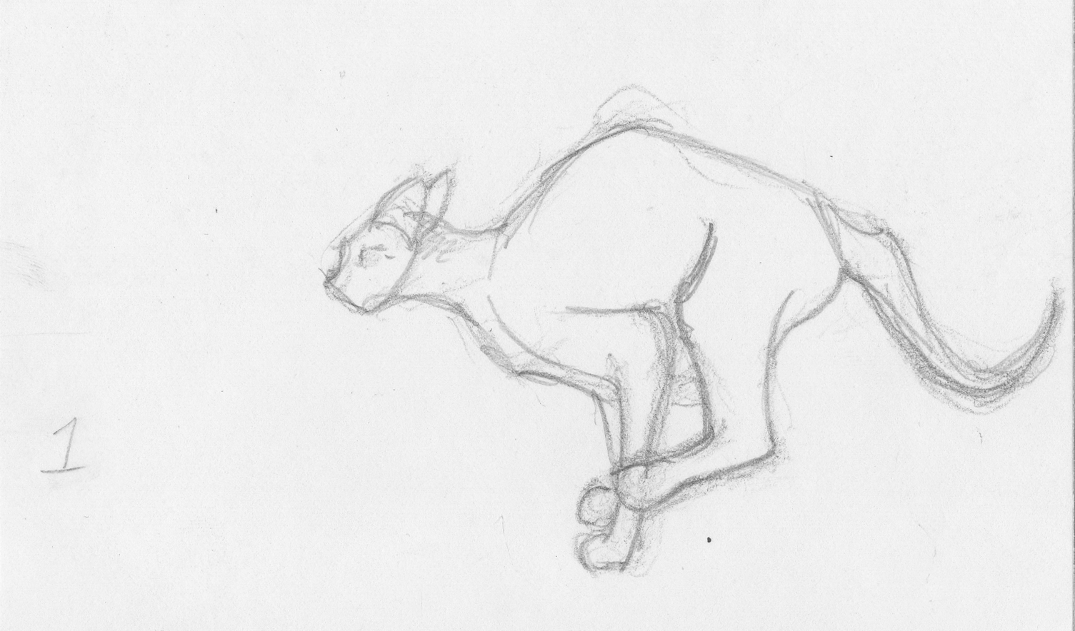 cat-running-final.gif